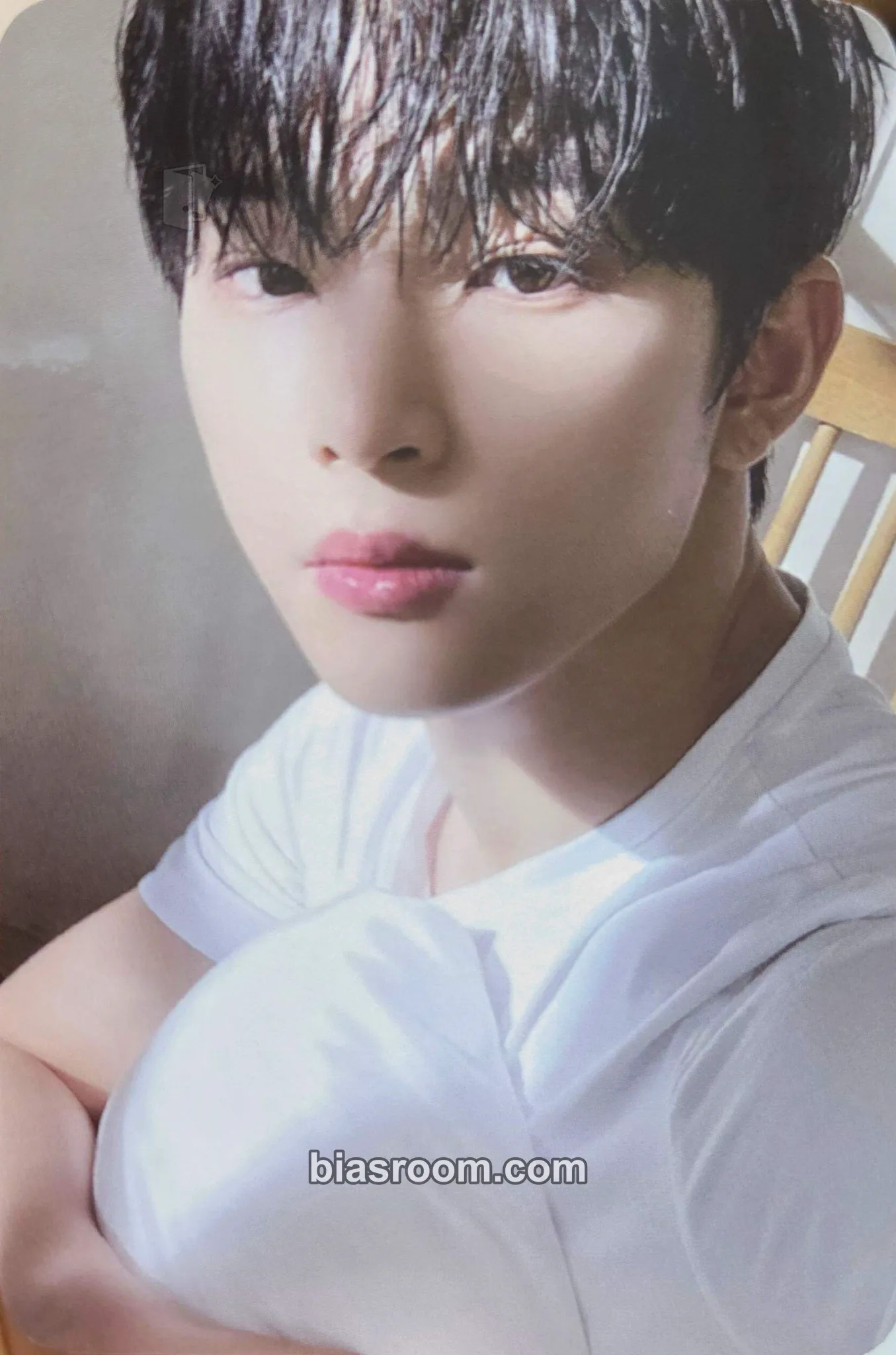 Leedo MALUS Photocard - ONEUS - ONEUS K-pop photocard