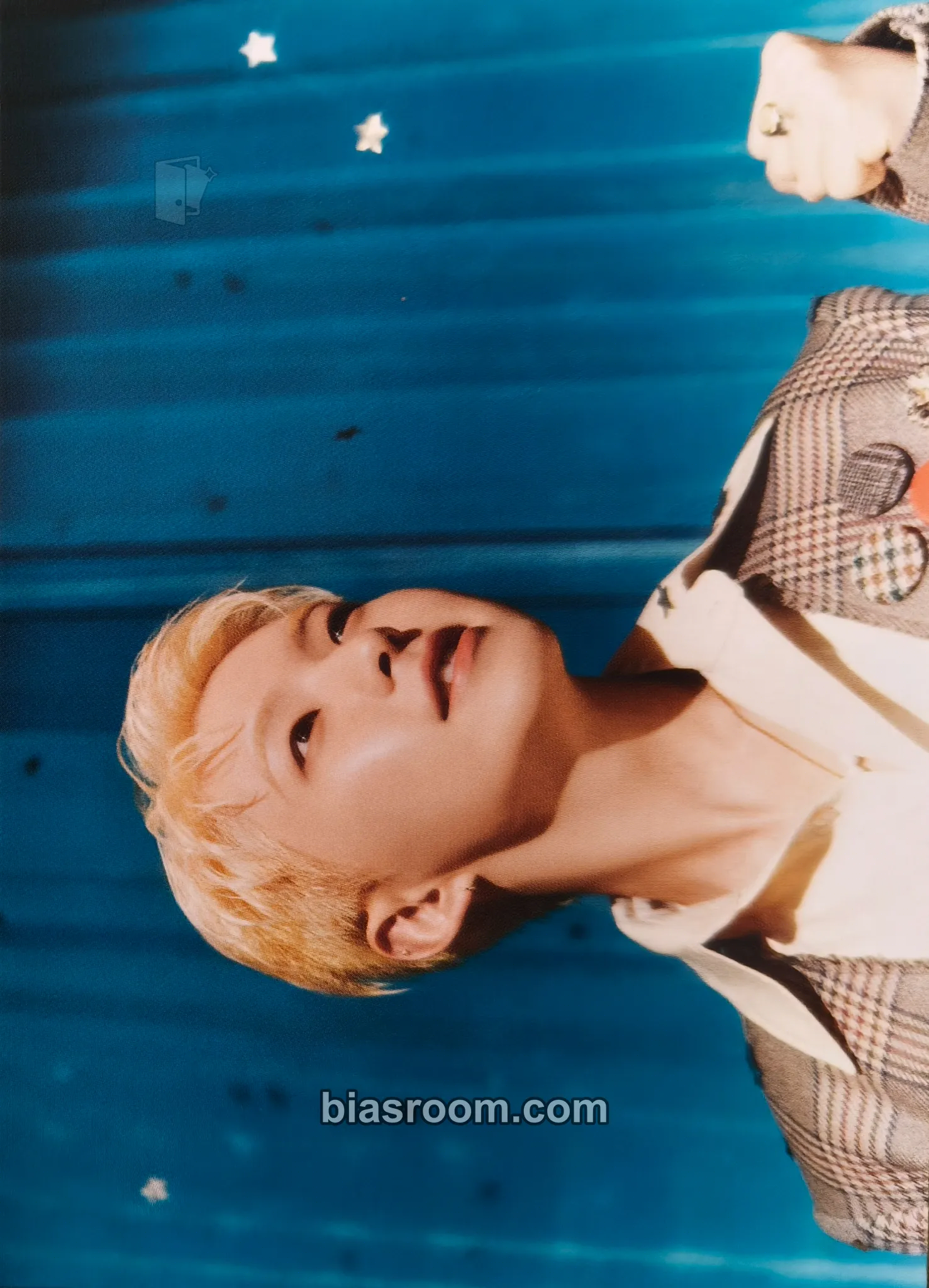 Hoshi Teleparty Photocard - SEVENTEEN - SEVENTEEN K-pop photocard