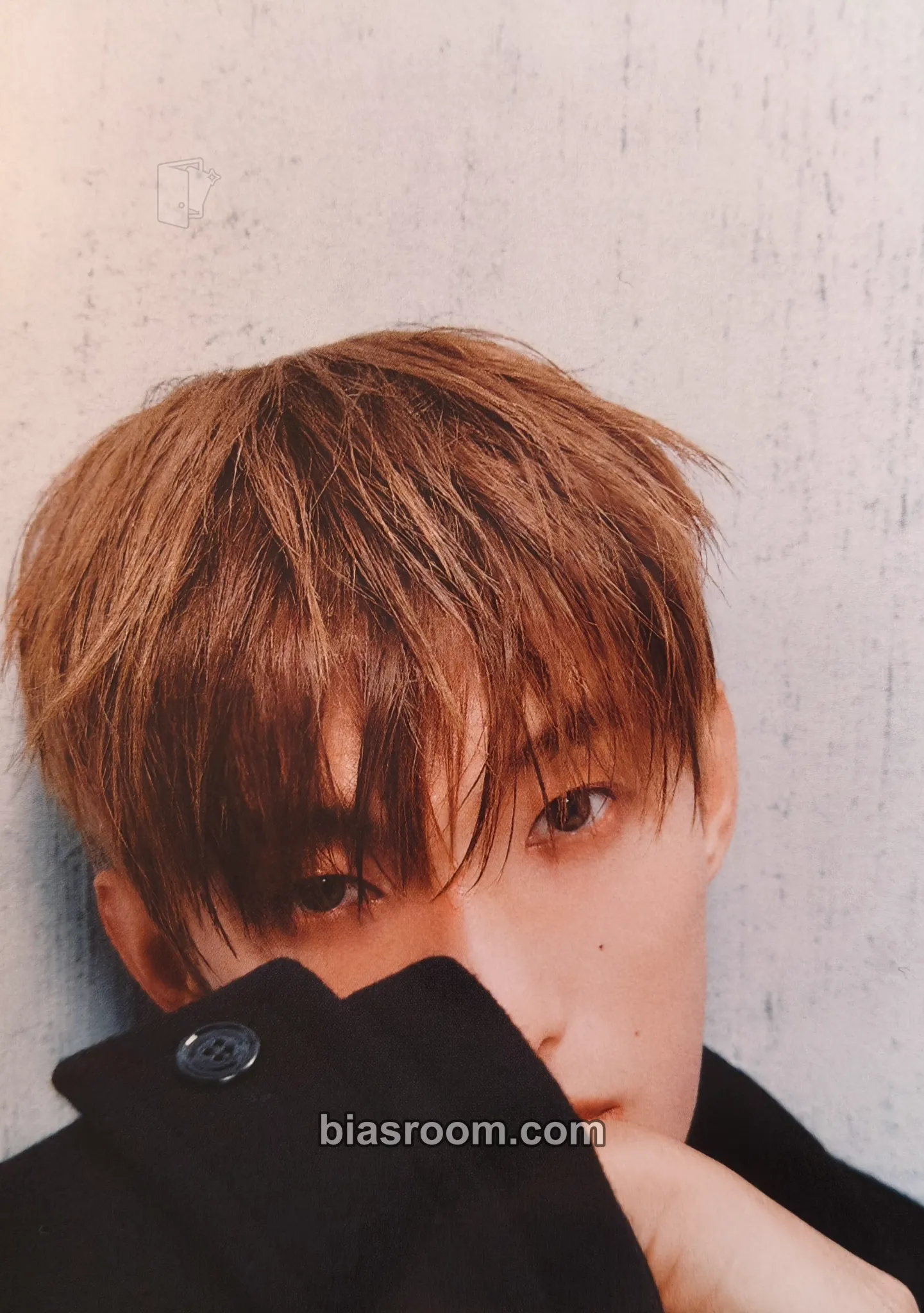 DK Serenade Photocard - SEVENTEEN - SEVENTEEN K-pop photocard