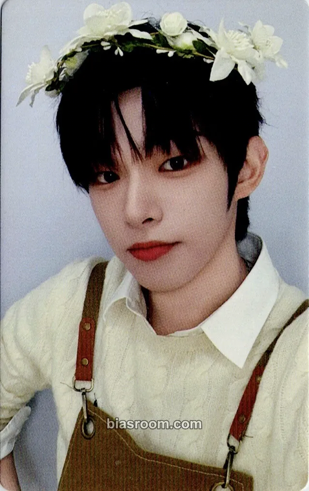 Steven Photocards (AHOF) | Bias Room