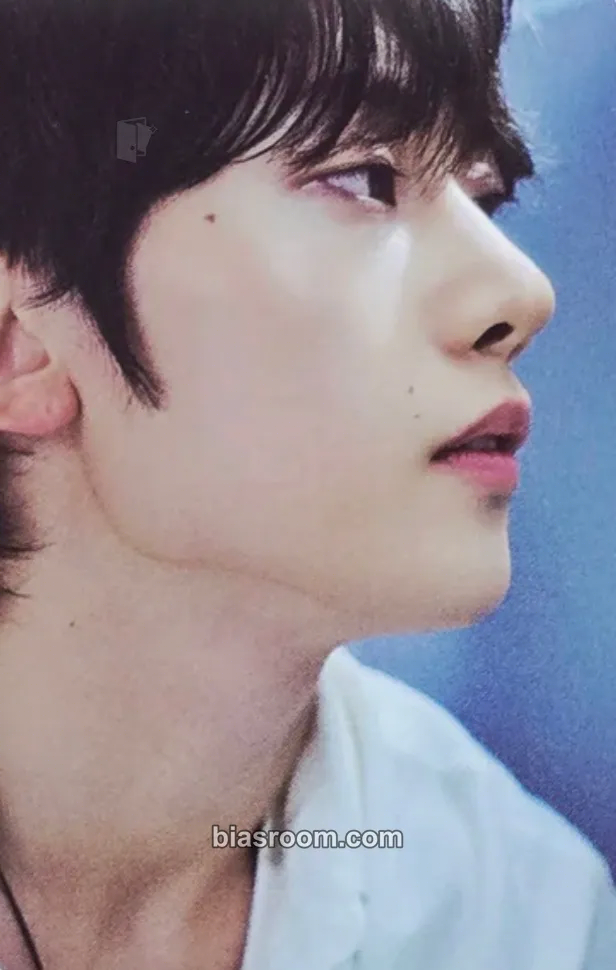Matthew Ascend- Photocard - ZEROBASEONE - ZEROBASEONE K-pop photocard