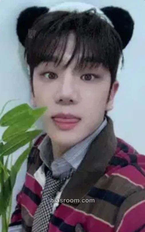 Kim Byeongkwan My Girl : ‘My Choice’ Photocard - A.C.E - A.C.E K-pop photocard