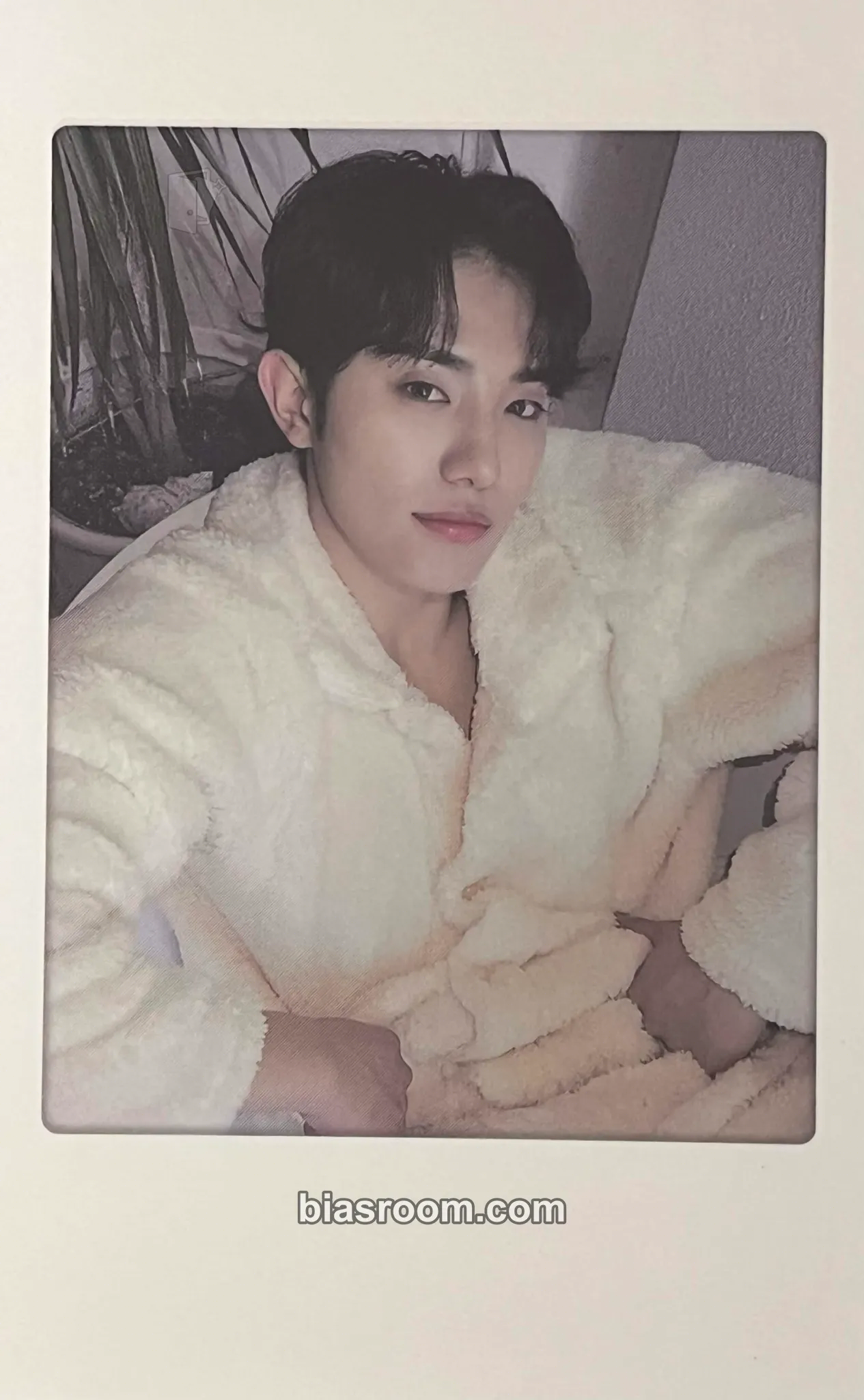 Mill 2025 Season's Greetings - take a mOment Photocard - OnlyOneOf - OnlyOneOf K-pop photocard