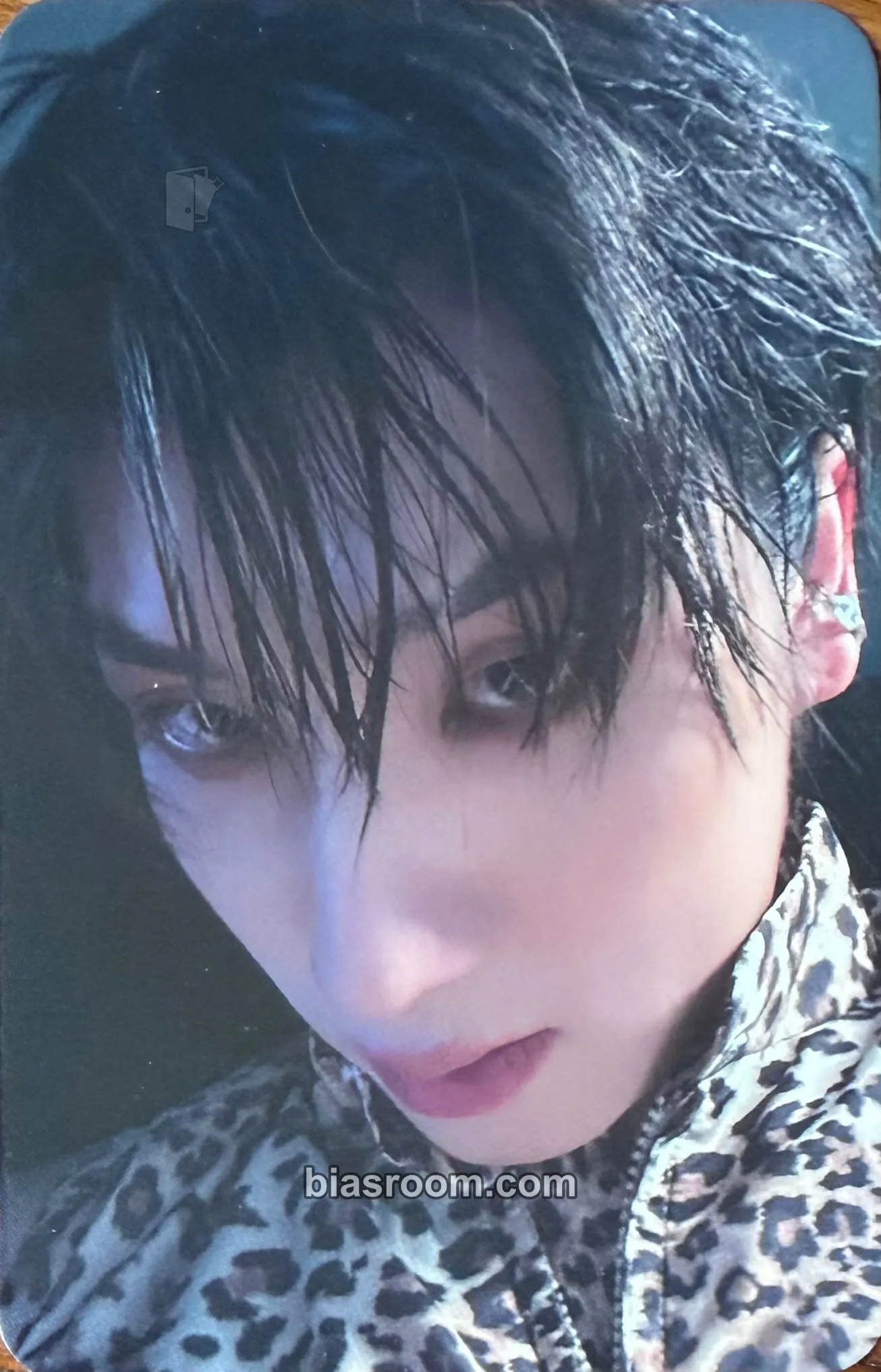 DY Snow Angel Tour in NA Photocard - JustB - JustB K-pop photocard