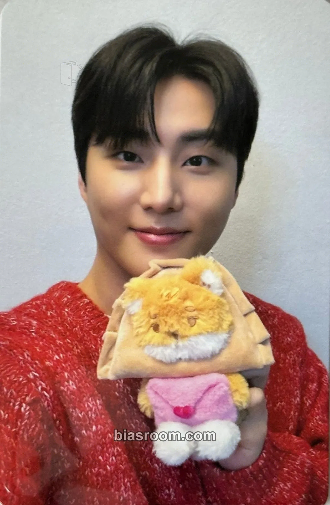 Young K DAY6 10th Anniversary Tour The Decade Photocard - DAY6 - DAY6 K-pop photocard