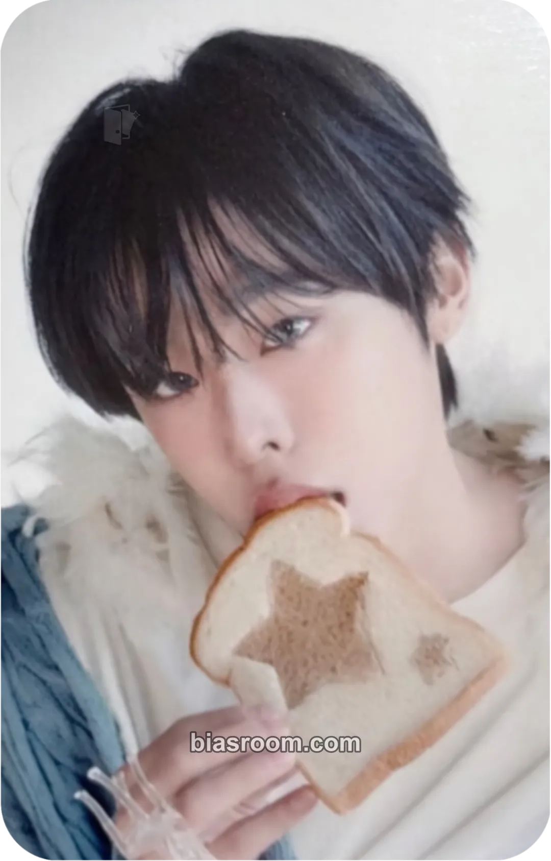 Riku Ode to Love MD Photocard - NCT WISH - NCT WISH K-pop photocard