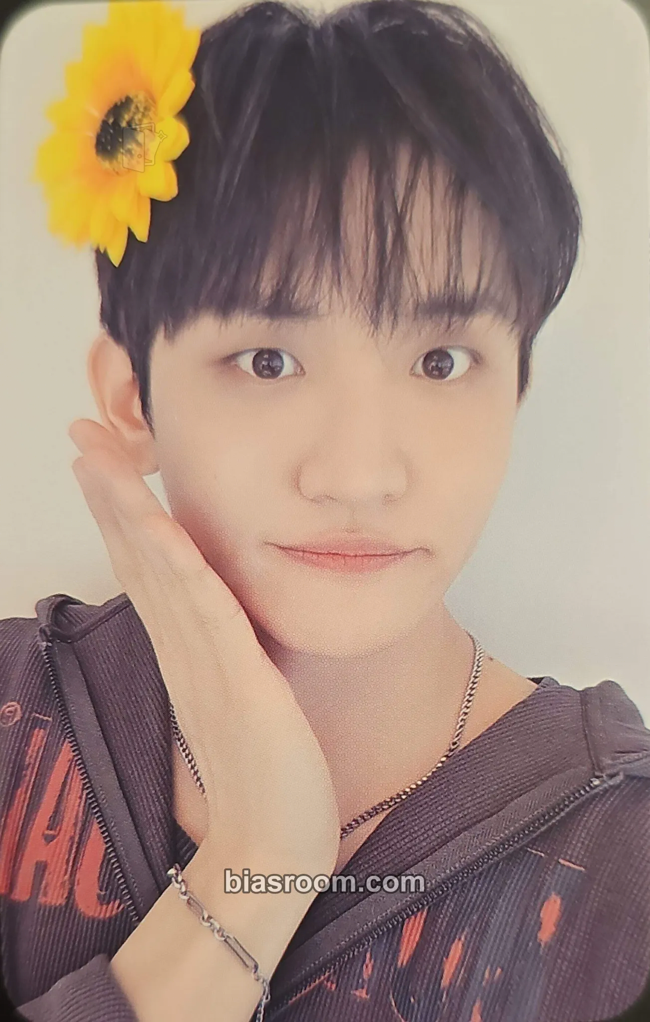 Wonsang Sunflower Photocard - LUCY - LUCY K-pop photocard