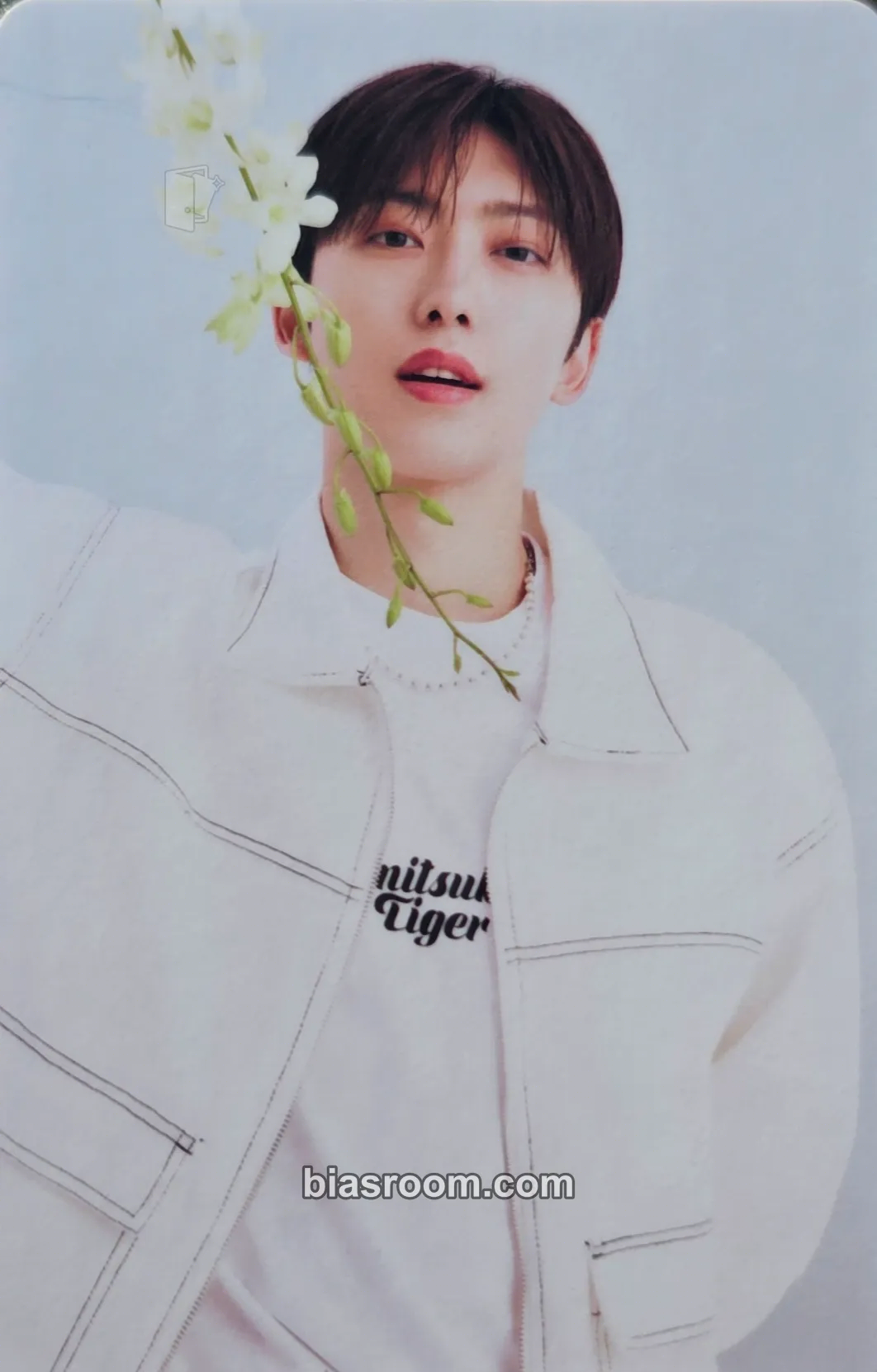 Fuma &TEAM Birthday Merch Photocard - &TEAM - &TEAM K-pop photocard