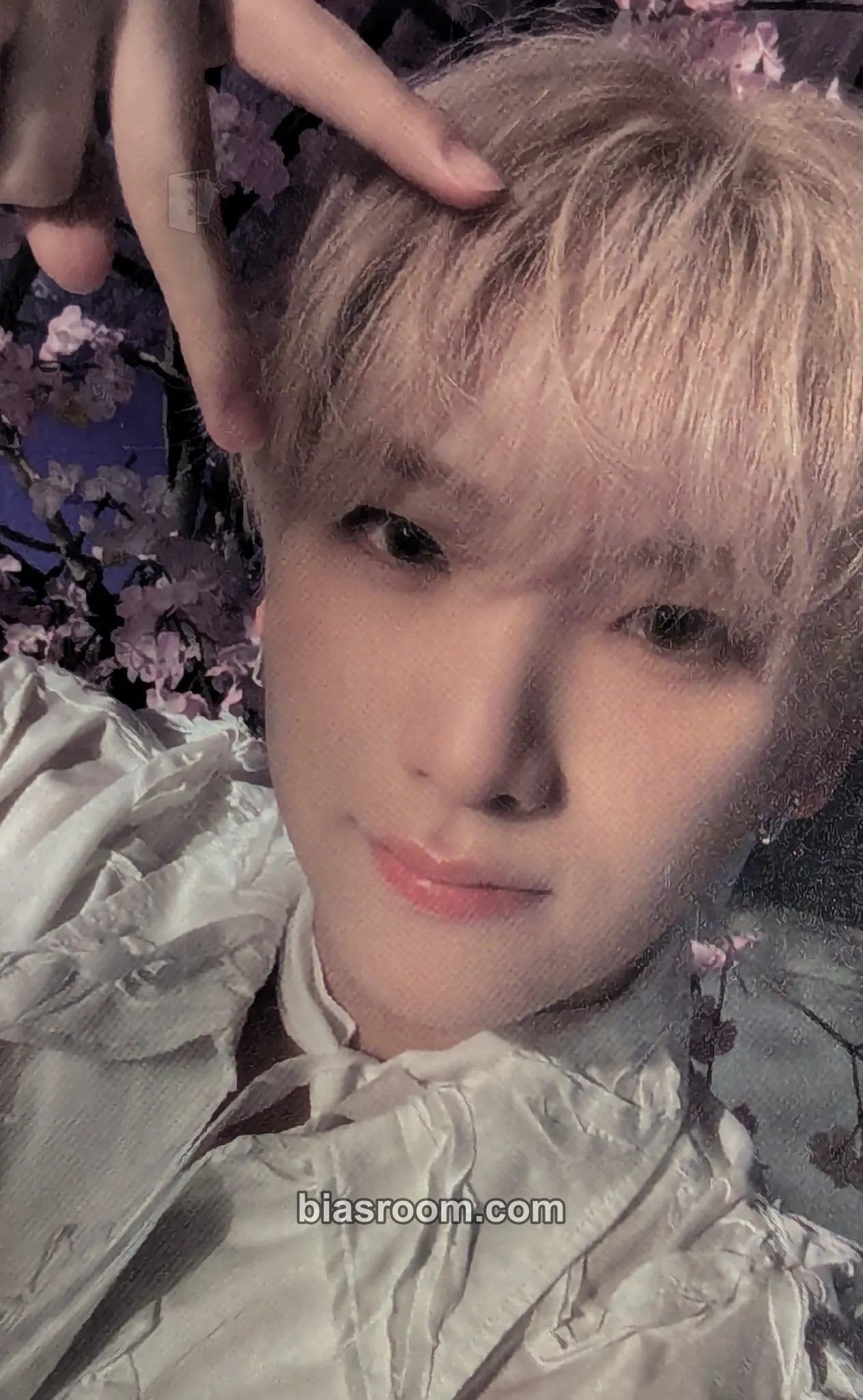Yuma Samidare Photocard - &TEAM - &TEAM K-pop photocard