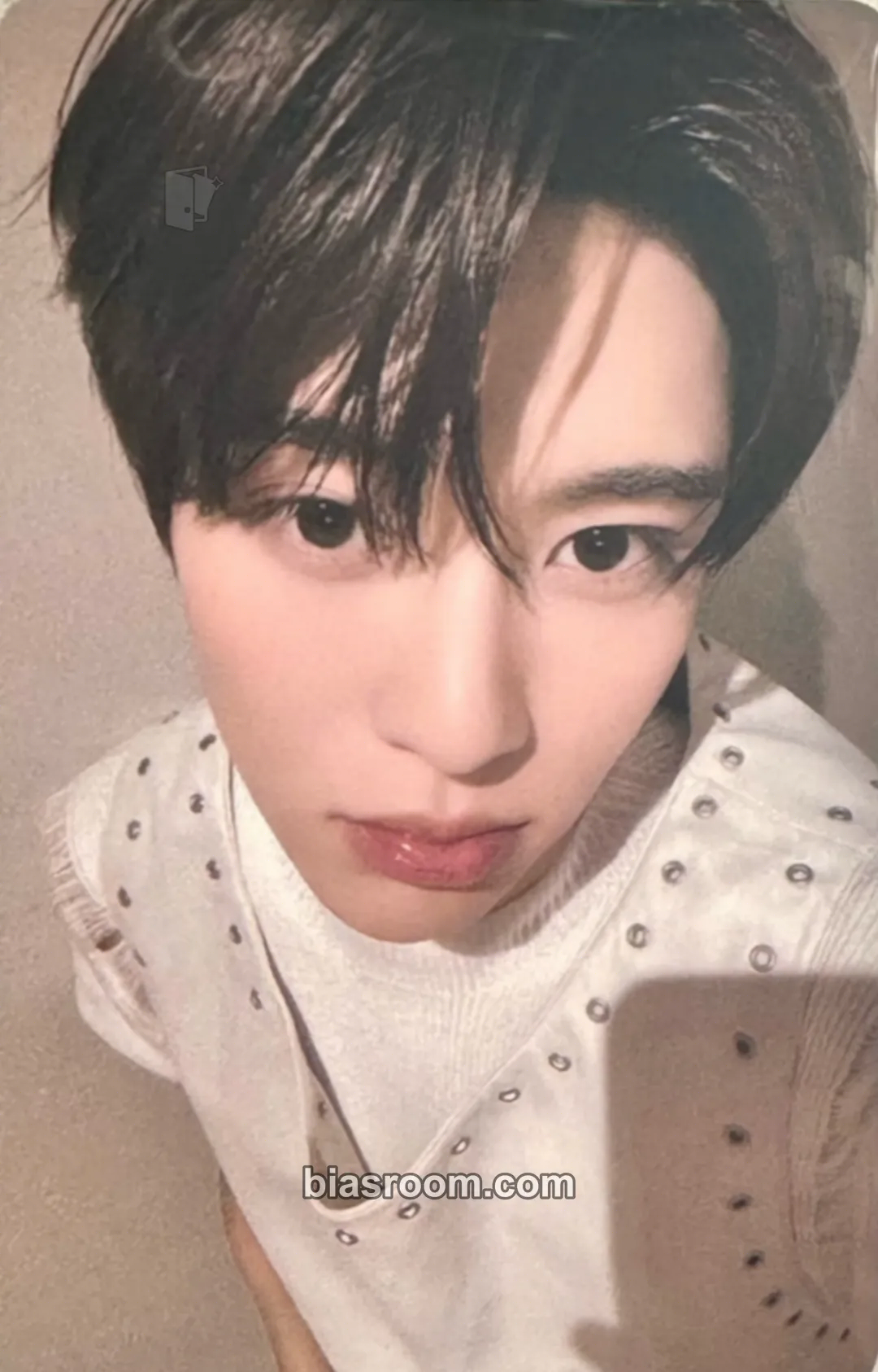 Sion COLOR Photocard - NCT WISH - NCT WISH K-pop photocard