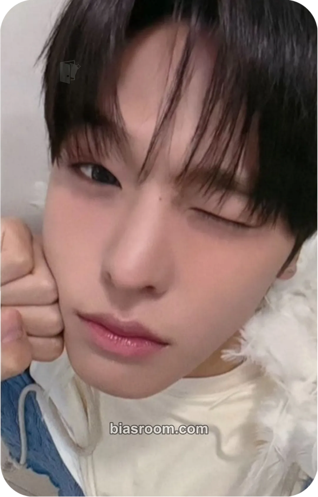Riku Ode to Love Photocard - NCT WISH - NCT WISH K-pop photocard