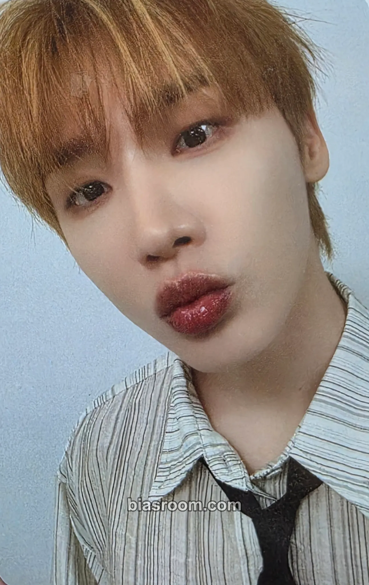 Woong 2026 Season's Greetings Photocard - AB6IX - AB6IX K-pop photocard