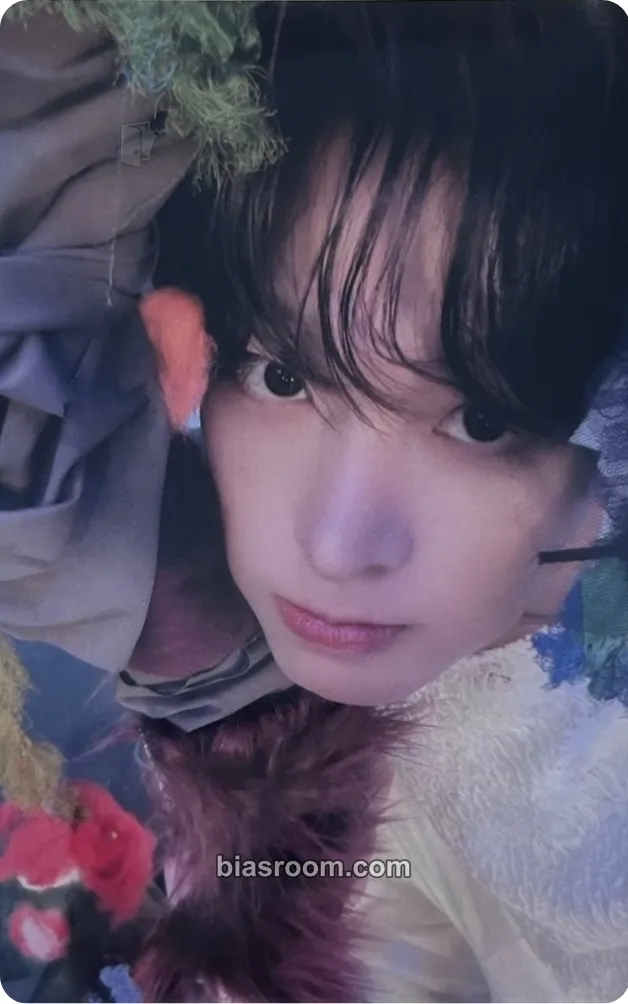 Riku Ode to Love Photocard - NCT WISH - NCT WISH K-pop photocard