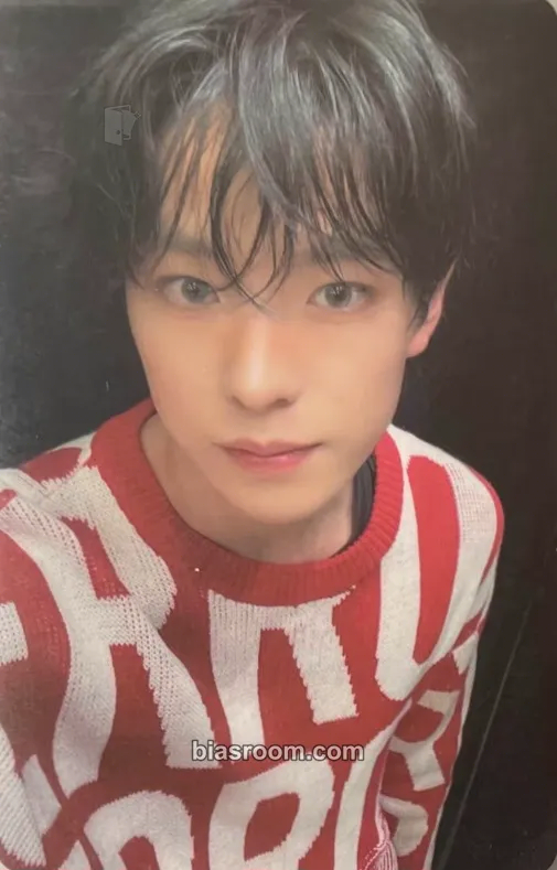 Yushi Steady Photocard - NCT WISH - NCT WISH K-pop photocard