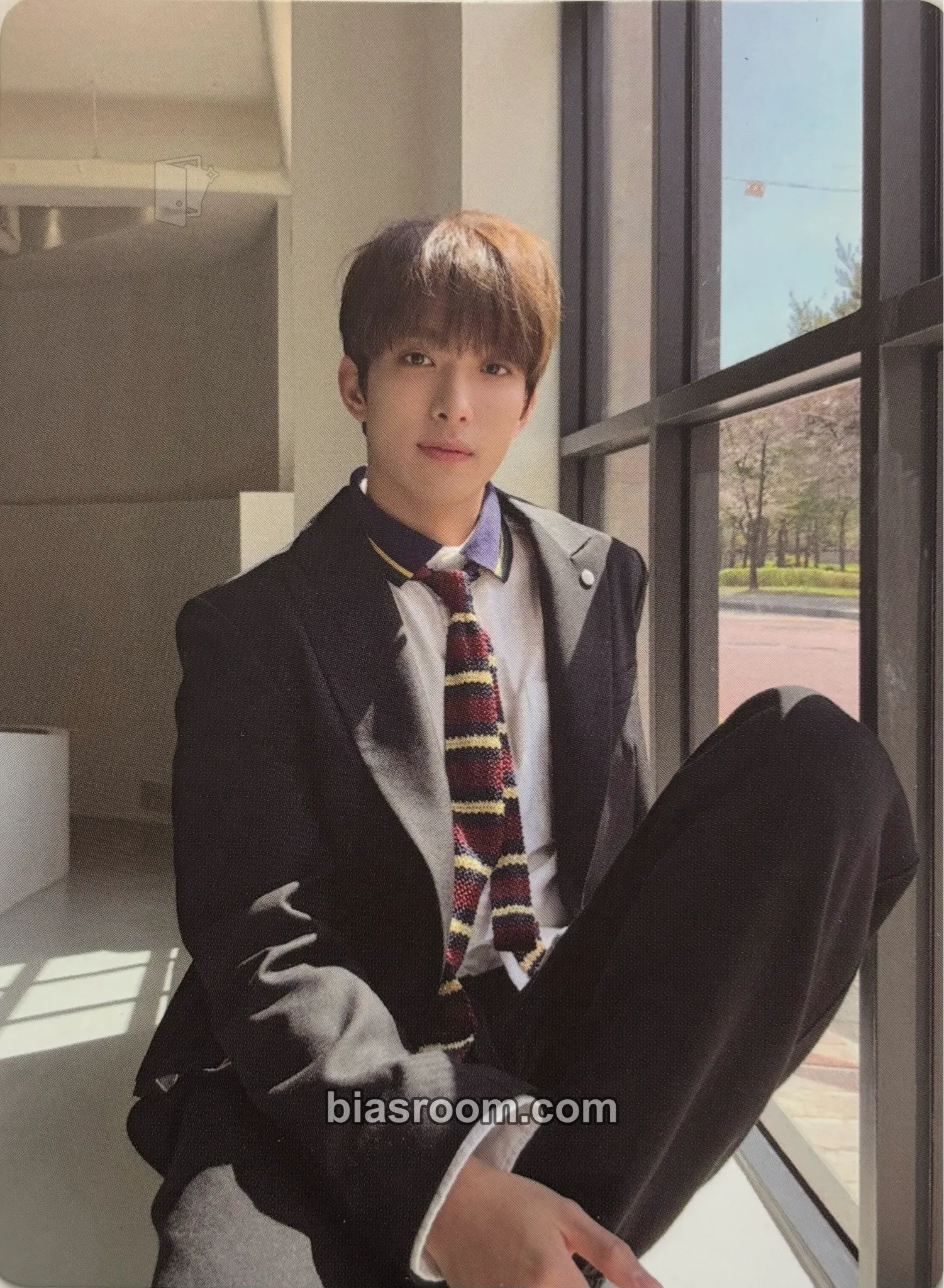DK Semicolon Photocard - SEVENTEEN - SEVENTEEN K-pop photocard