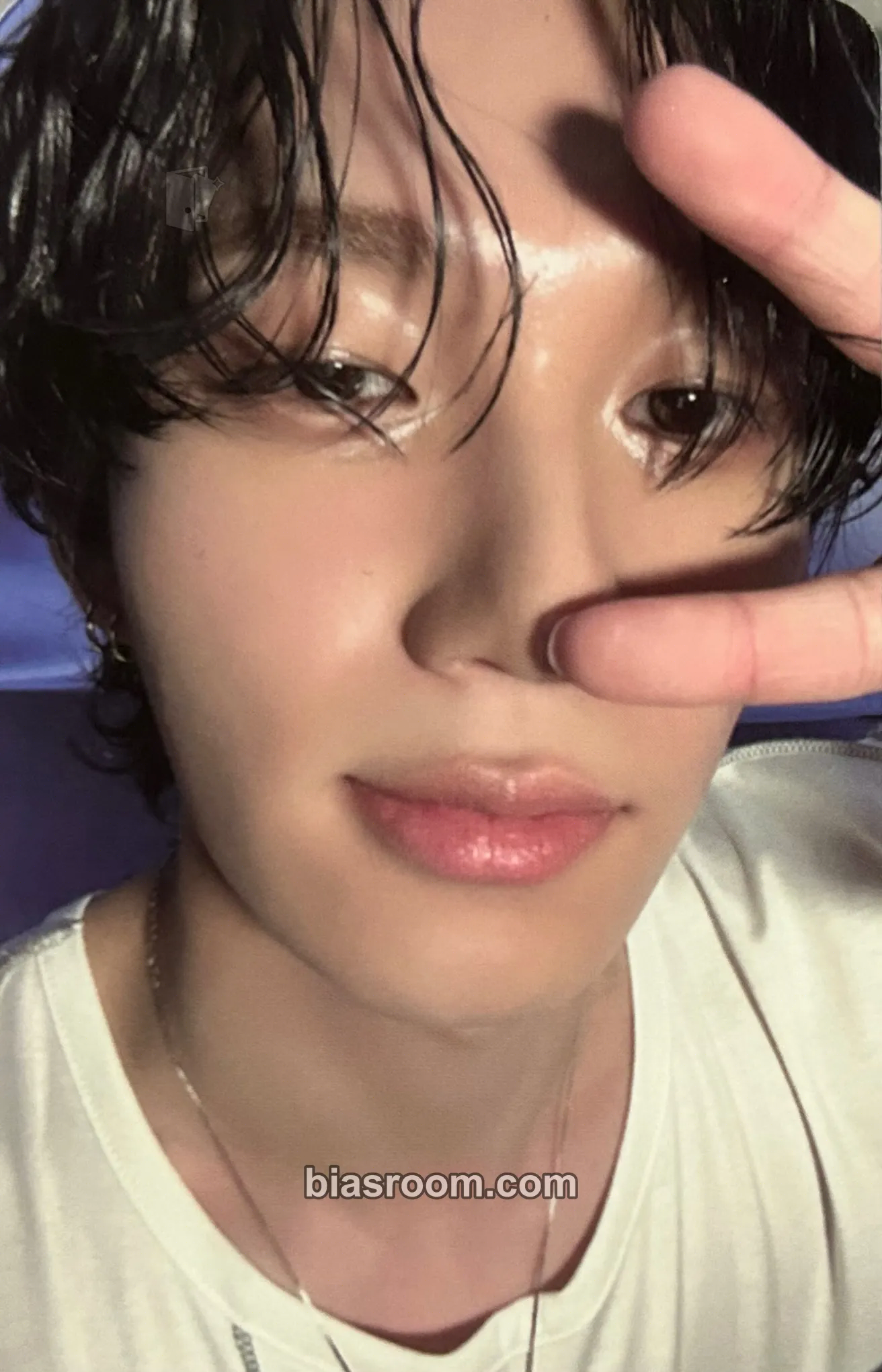 Theo Harmony: All In Photocard - P1Harmony - P1Harmony K-pop photocard