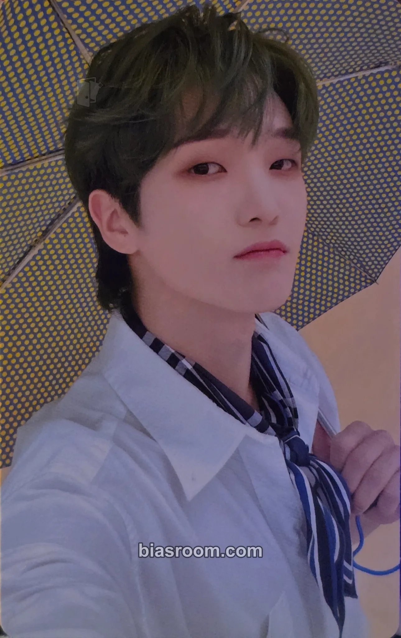 Sumin 2024 SEASON'S GREETINGS Photocard - xikers - xikers K-pop photocard