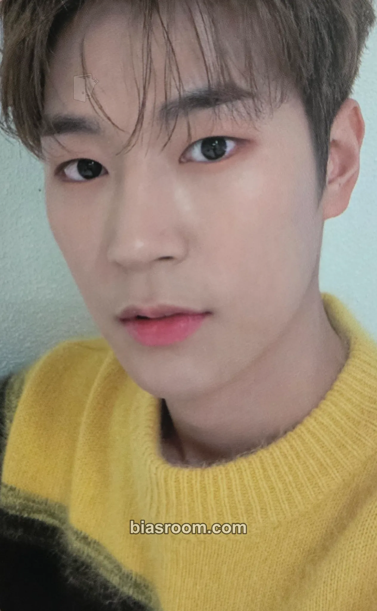 Seoham 3rd Fanclub Tinkerbell Photocard - KNK - KNK K-pop photocard