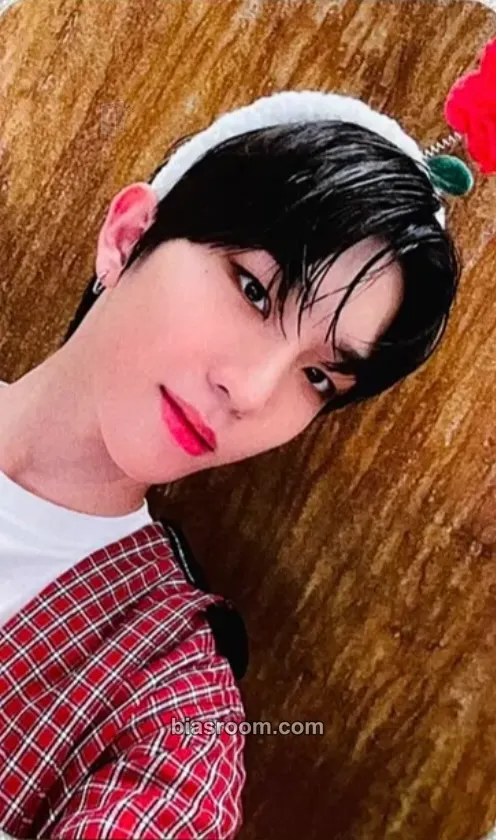 Sungjun LOVE NEVER DIES Photocard - TNX - TNX K-pop photocard