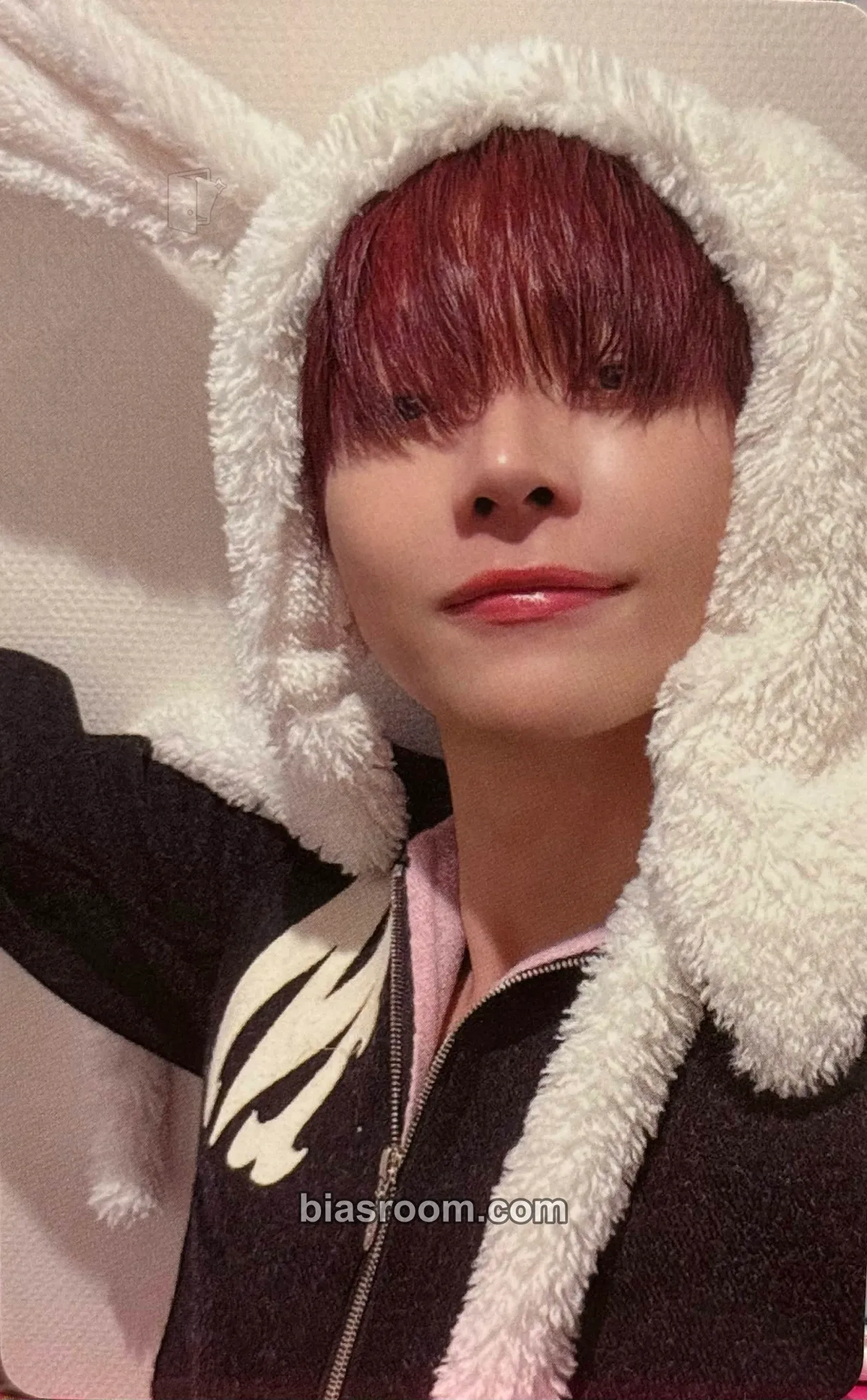 Nicholas Yukiakari Photocard - &TEAM - &TEAM K-pop photocard