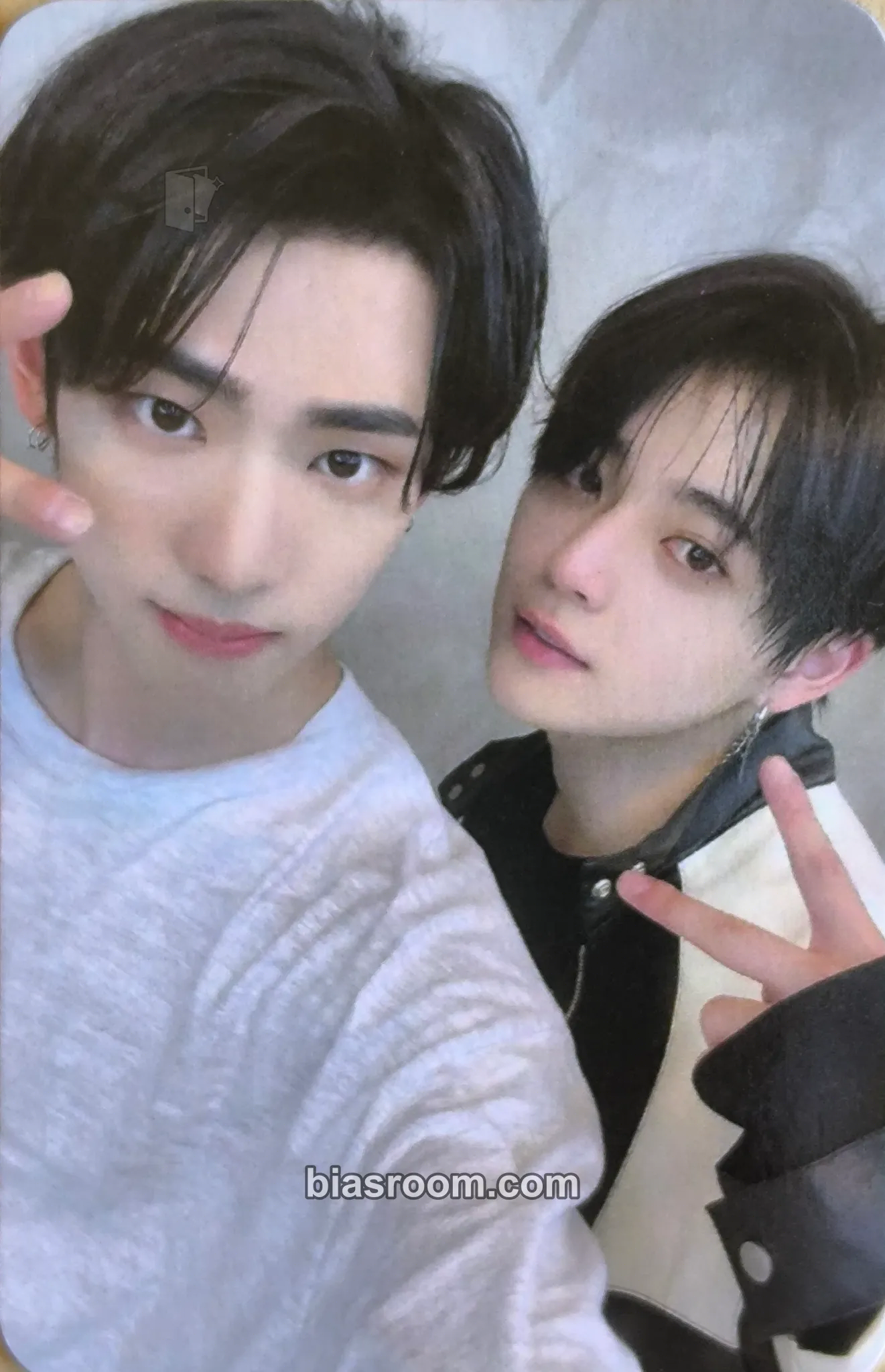 UNDENIABLE Photocard - FANTASY BOYS - FANTASY BOYS K-pop photocard