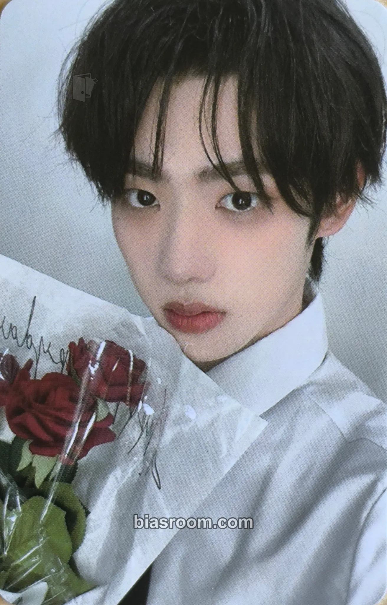 Kang Minseo UNDENIABLE Photocard - FANTASY BOYS - FANTASY BOYS K-pop photocard
