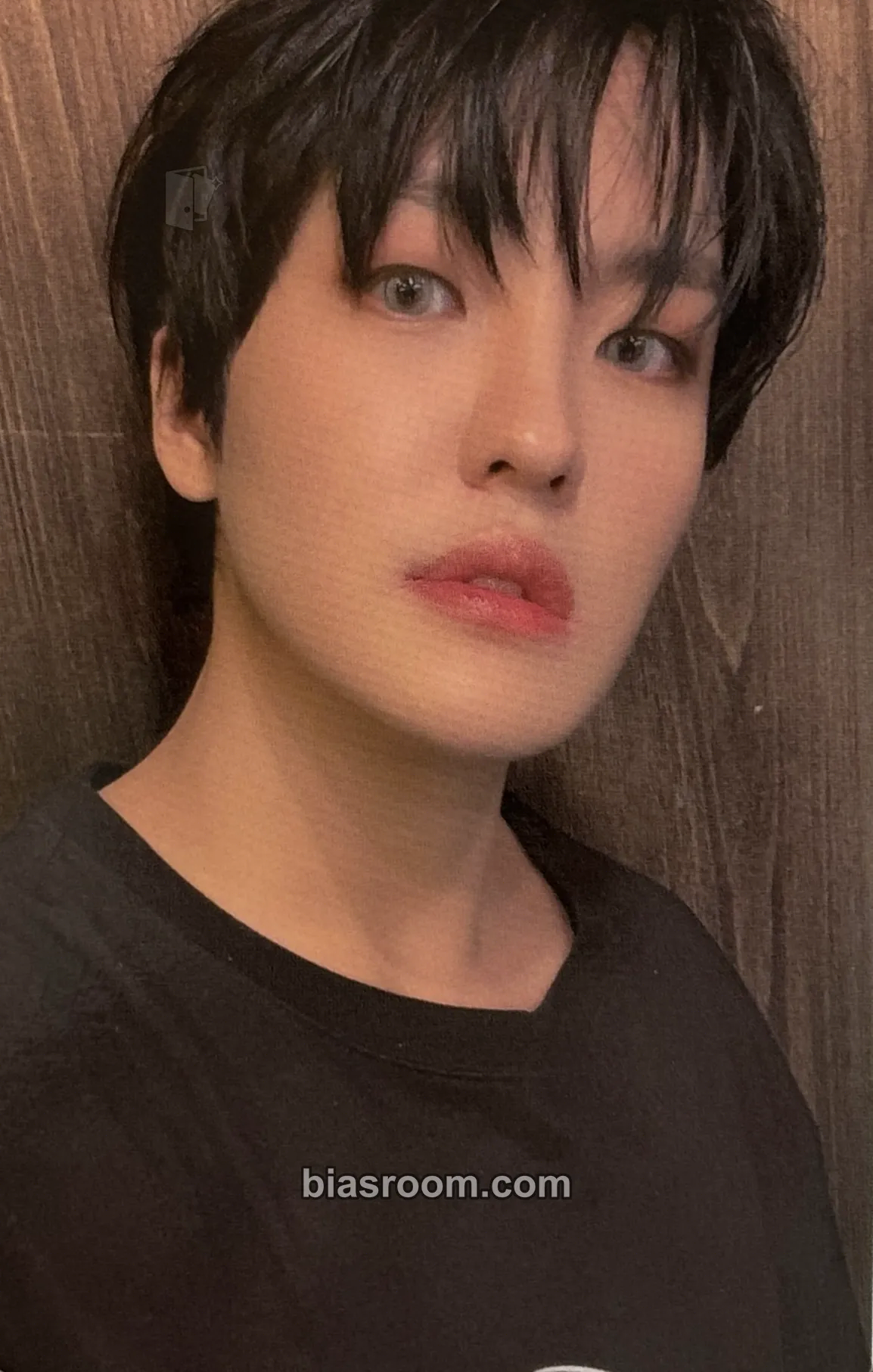 Louis History of Kingdom : PartⅤ. Louis Photocard - The KingDom - The KingDom K-pop photocard