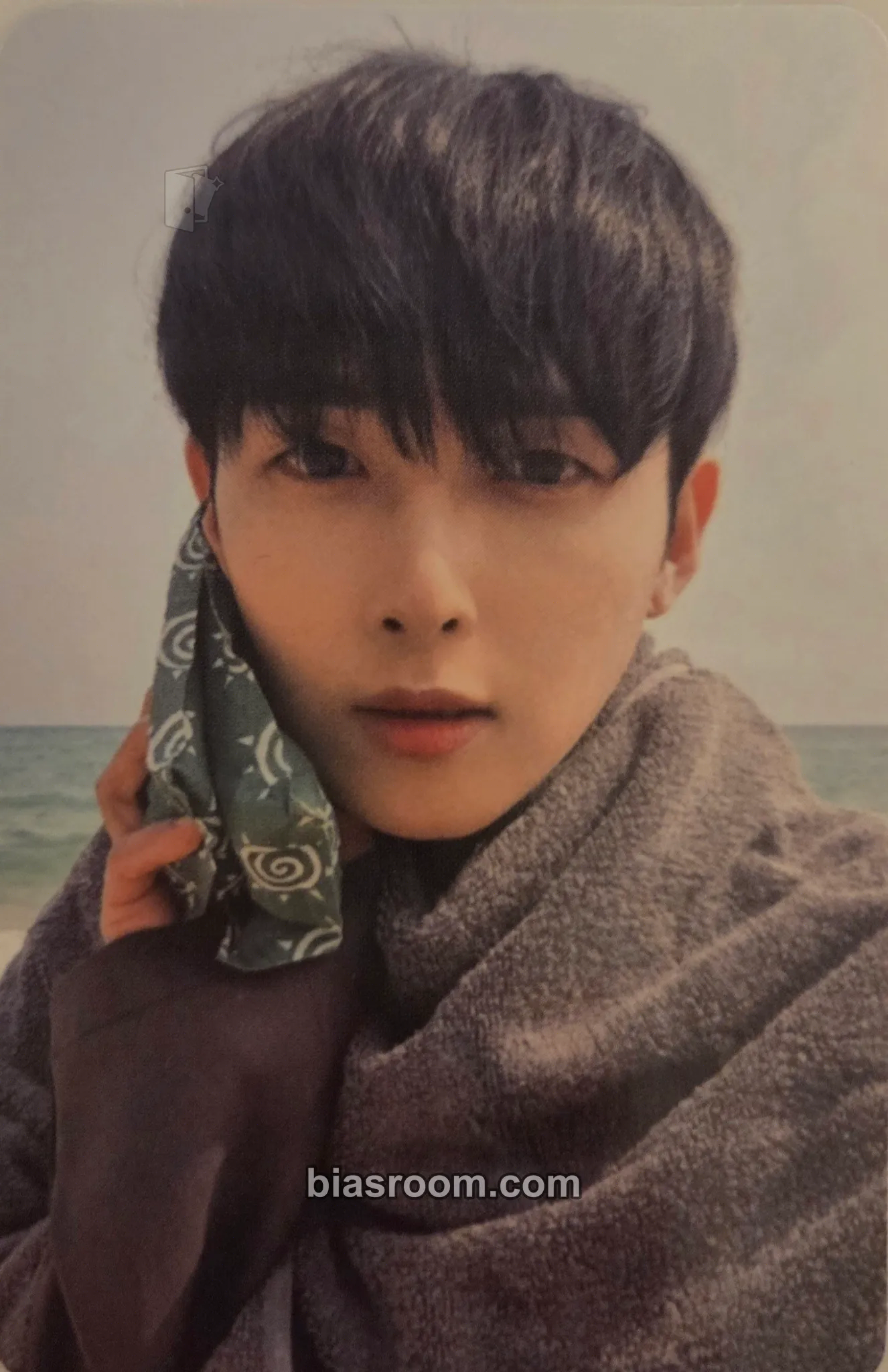Ryeowook A Wild Rose (Ryeowook Solo) Photocard - SUPER JUNIOR - SUPER JUNIOR K-pop photocard