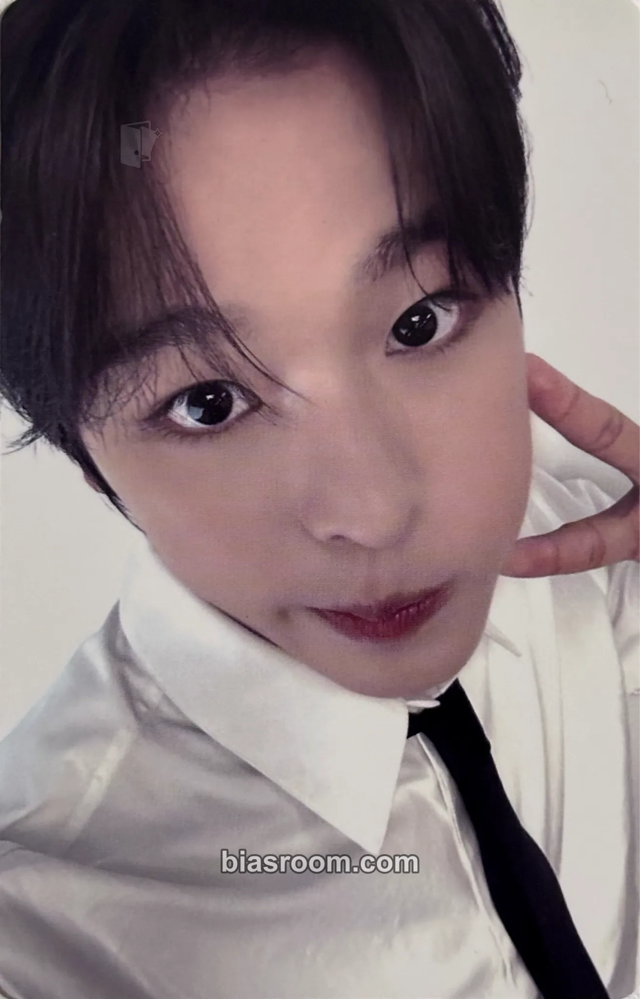 Riku Songbird Photocard - NCT WISH - NCT WISH K-pop photocard