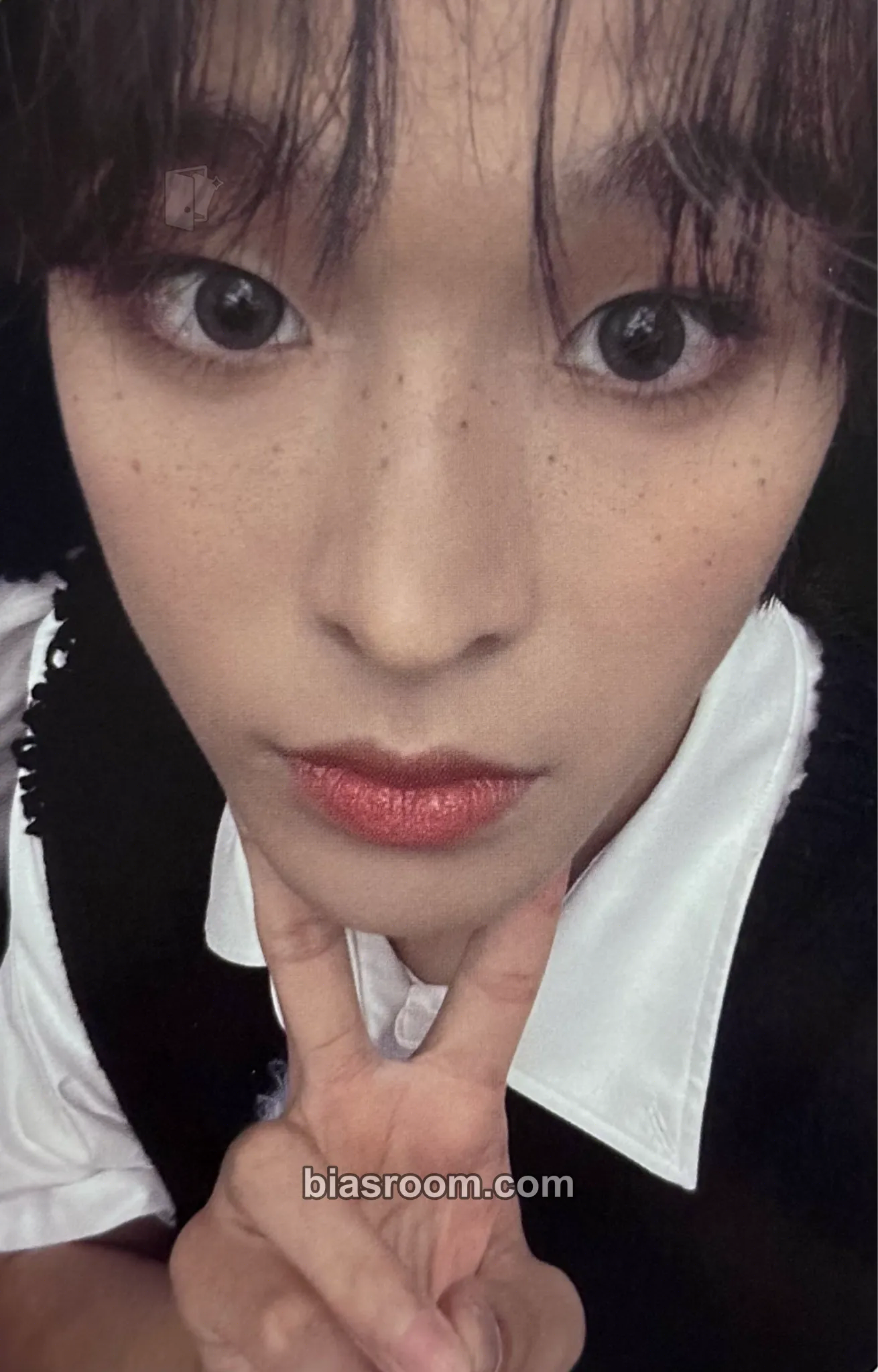 Riku Steady Photocard - NCT WISH - NCT WISH K-pop photocard