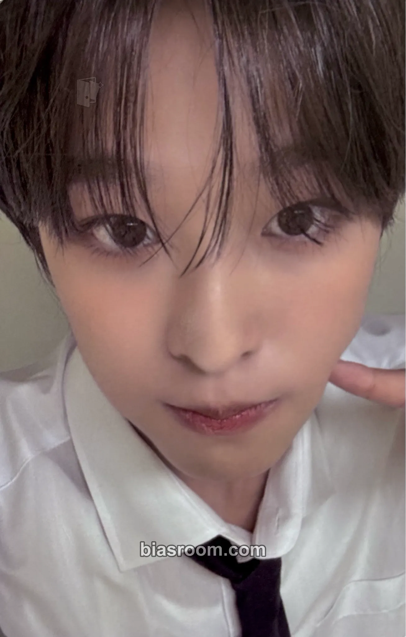 Riku Steady Photocard - NCT WISH - NCT WISH K-pop photocard