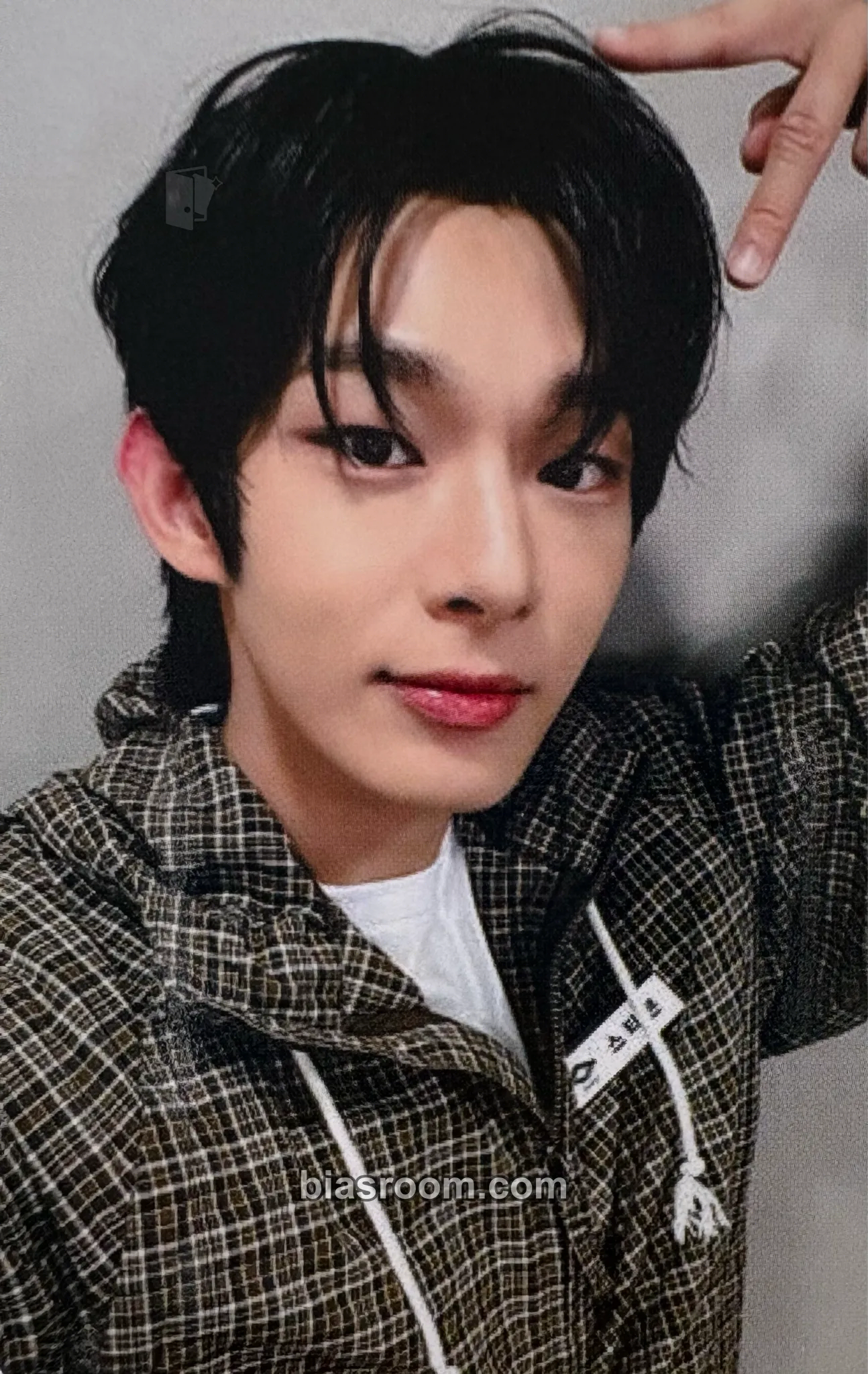 Steven Photocards (AHOF) | Bias Room