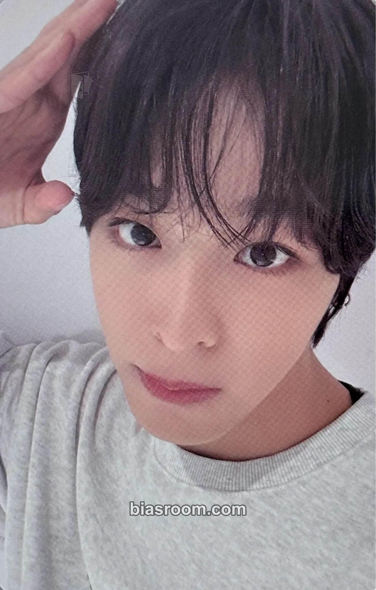 Riku COLOR Photocard - NCT WISH - NCT WISH K-pop photocard