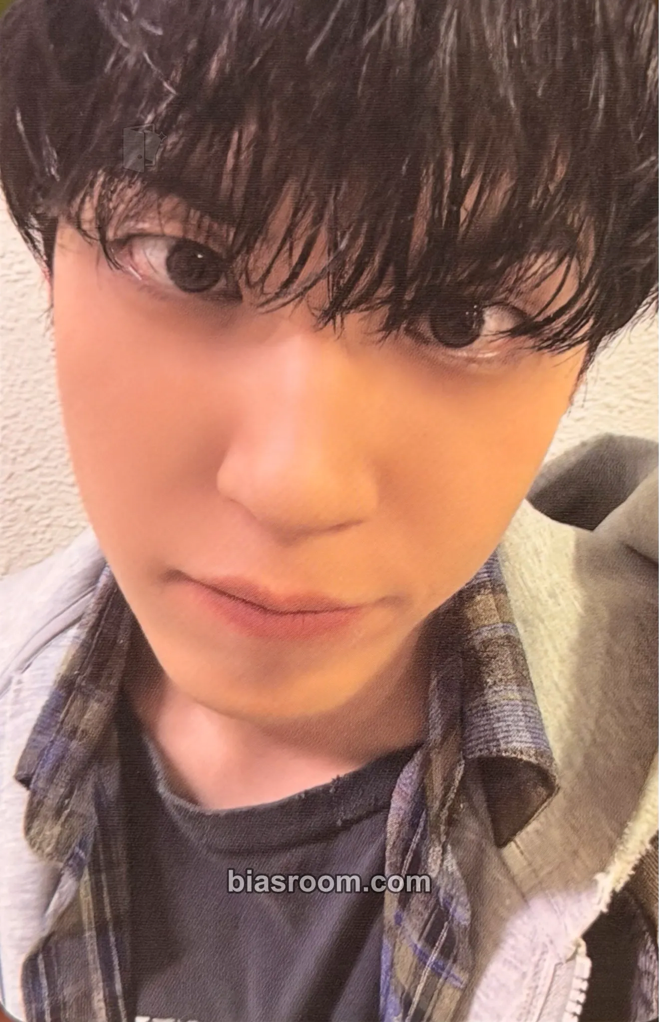 Wonpil Unpiltered Photocard - DAY6 - DAY6 K-pop photocard