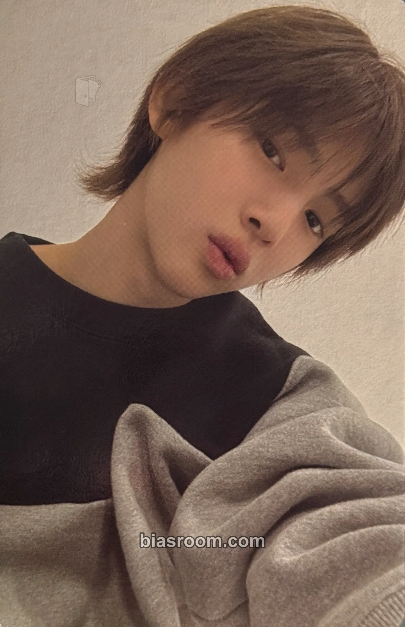Juhoon GREENGREEN Photocard - CORTIS - CORTIS K-pop photocard