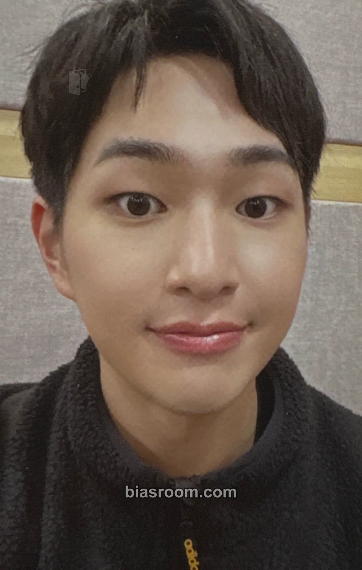 Onew SHINee Anniversary Merch Photocard - SHINee - SHINee K-pop photocard