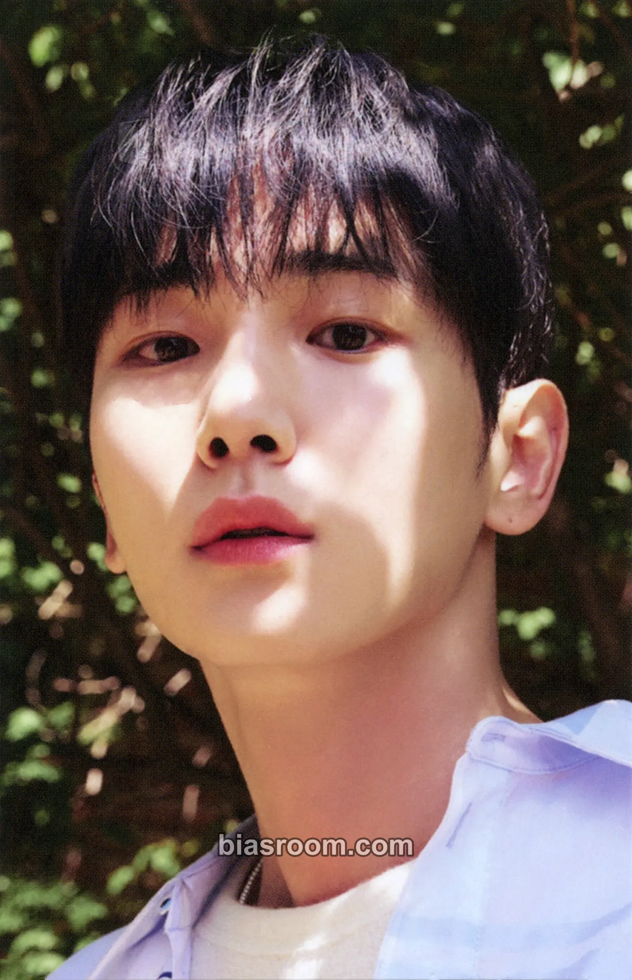 Key SHINee POP UP - THE MOMENT OF Shine Photocard - SHINee - SHINee K-pop photocard