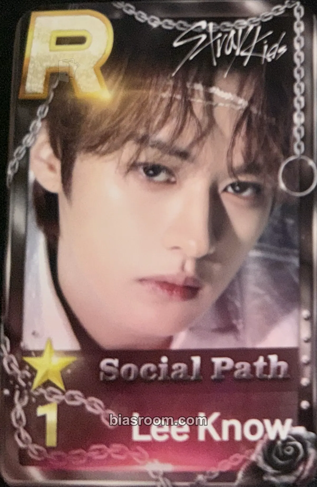 Lee Know 5-Star Dome Tour 2023 Photocard - Stray Kids - Stray Kids K-pop photocard