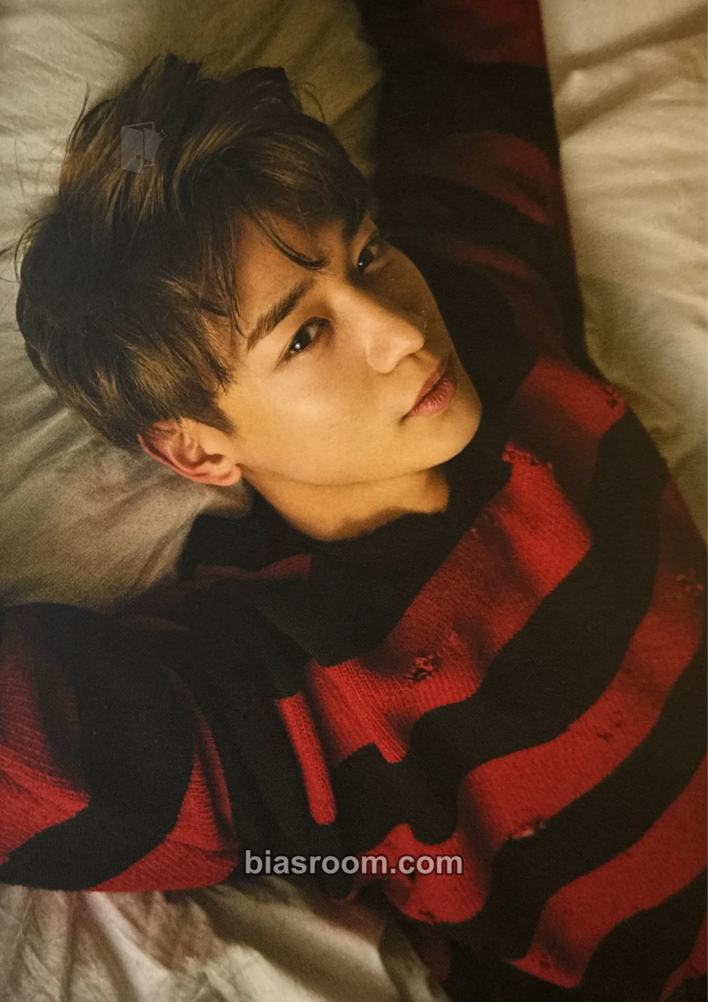 Minho 1 and 1 - The 5th Album Repackage Photocard - SHINee - SHINee K-pop photocard