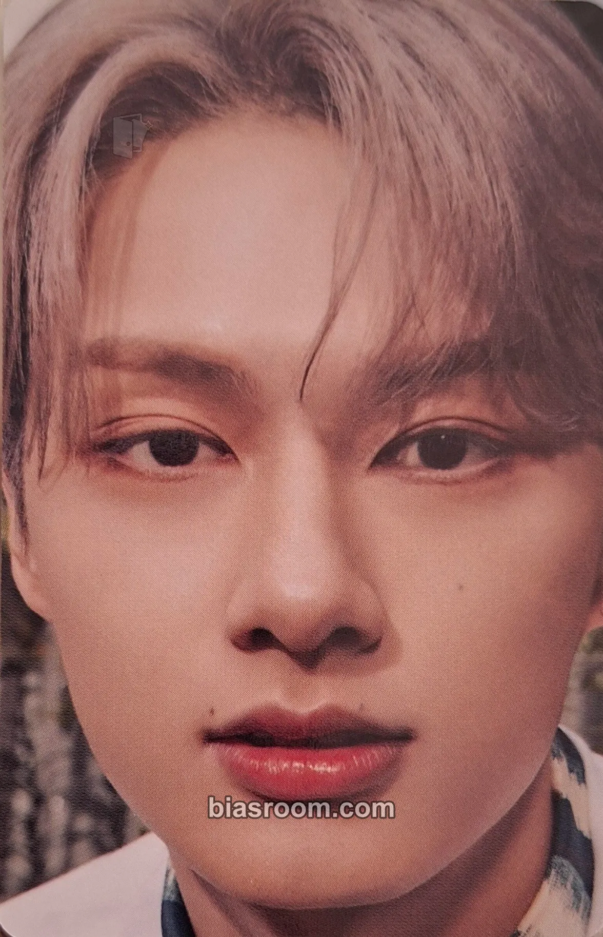 Jun DICON Photocard 101: Custom Book Photocard - SEVENTEEN - SEVENTEEN K-pop photocard