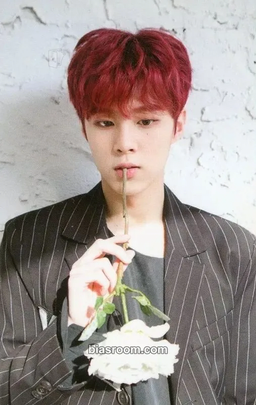 Wooseok Invitation Photocard - UP10TION - UP10TION K-pop photocard