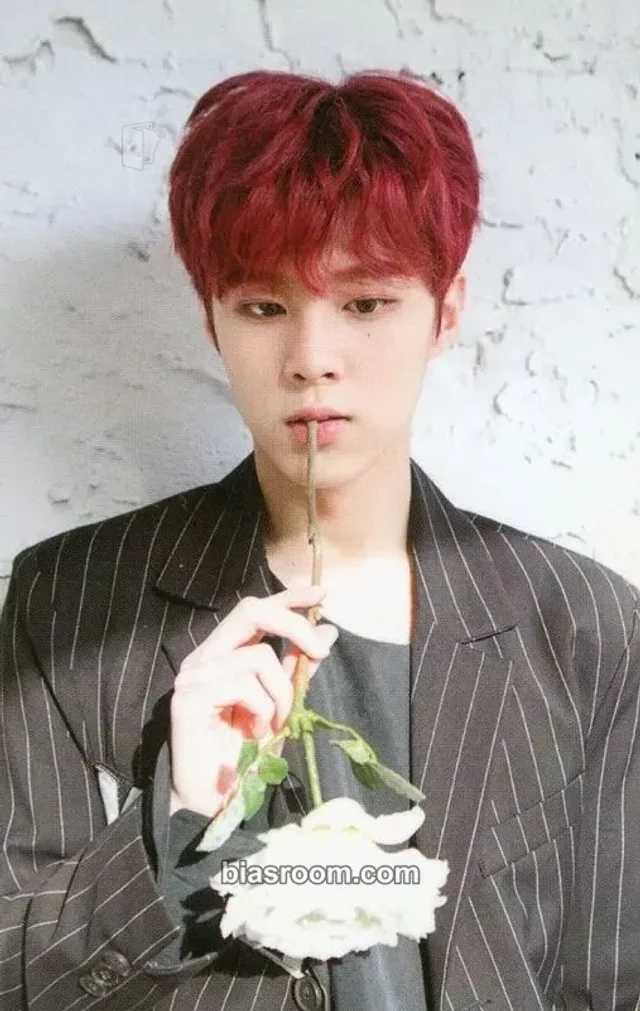UP10TION - Wooseok - Invitation Album album photocard key card puzzle card