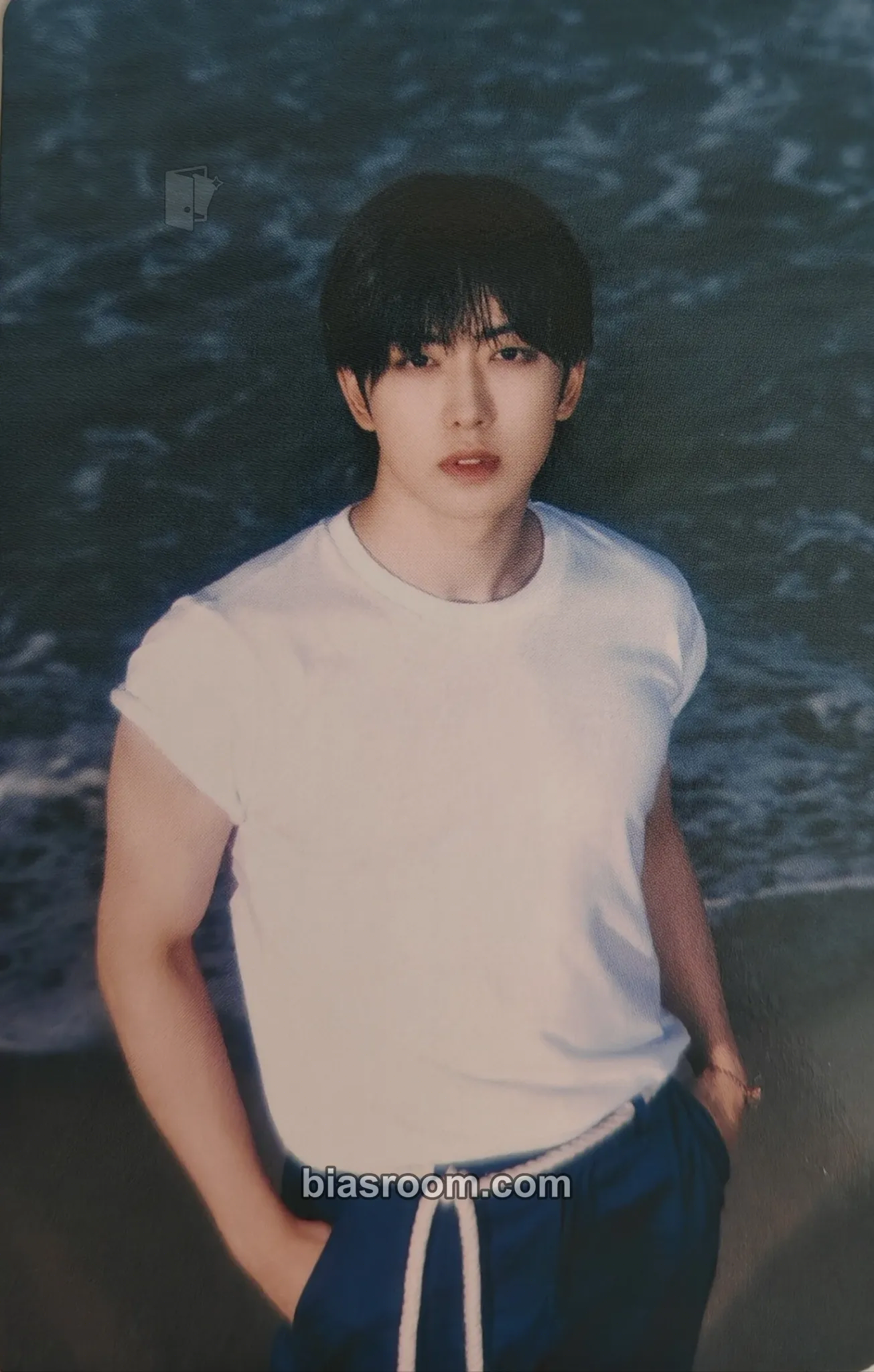 Fuma Aoarashi Photocard - &TEAM - &TEAM K-pop photocard