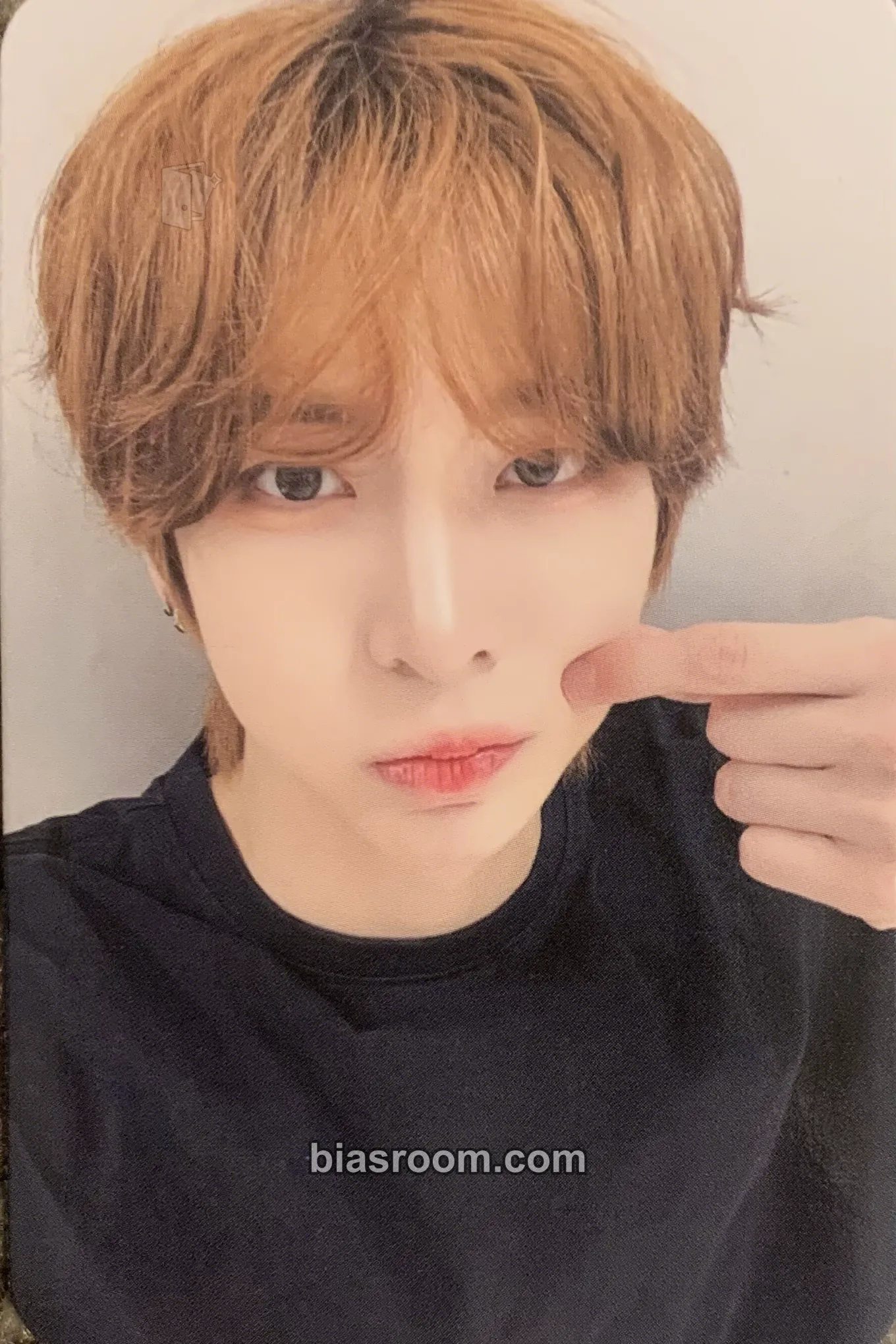 Jiho WILD & FREE Photocard - AMPERS&ONE - AMPERS&ONE K-pop photocard