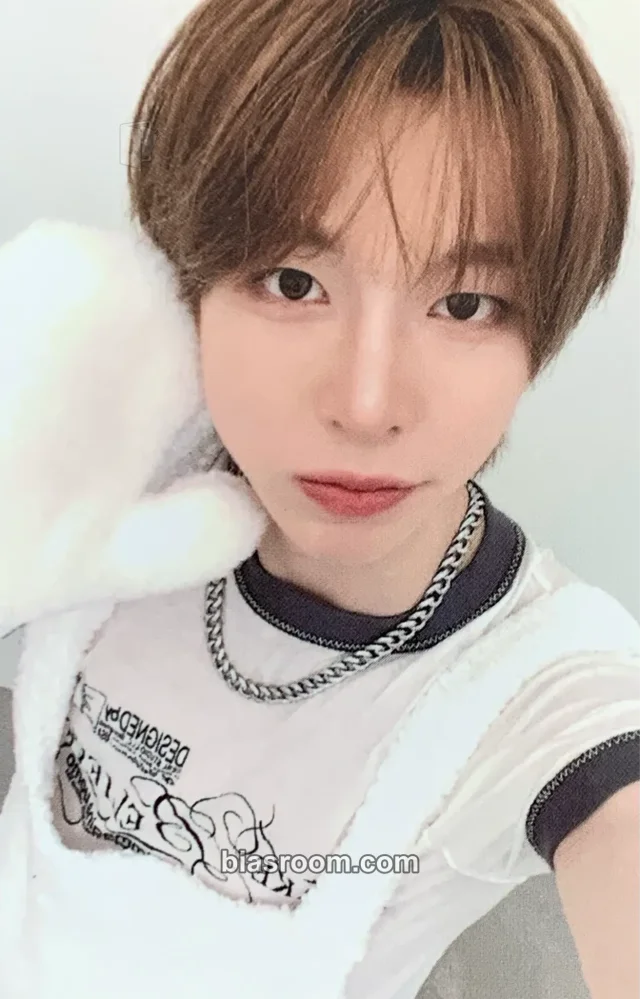 AMPERS&ONE - Jiho - WILD & FREE Album pob (pre-order benefit) everline video call (fancall)