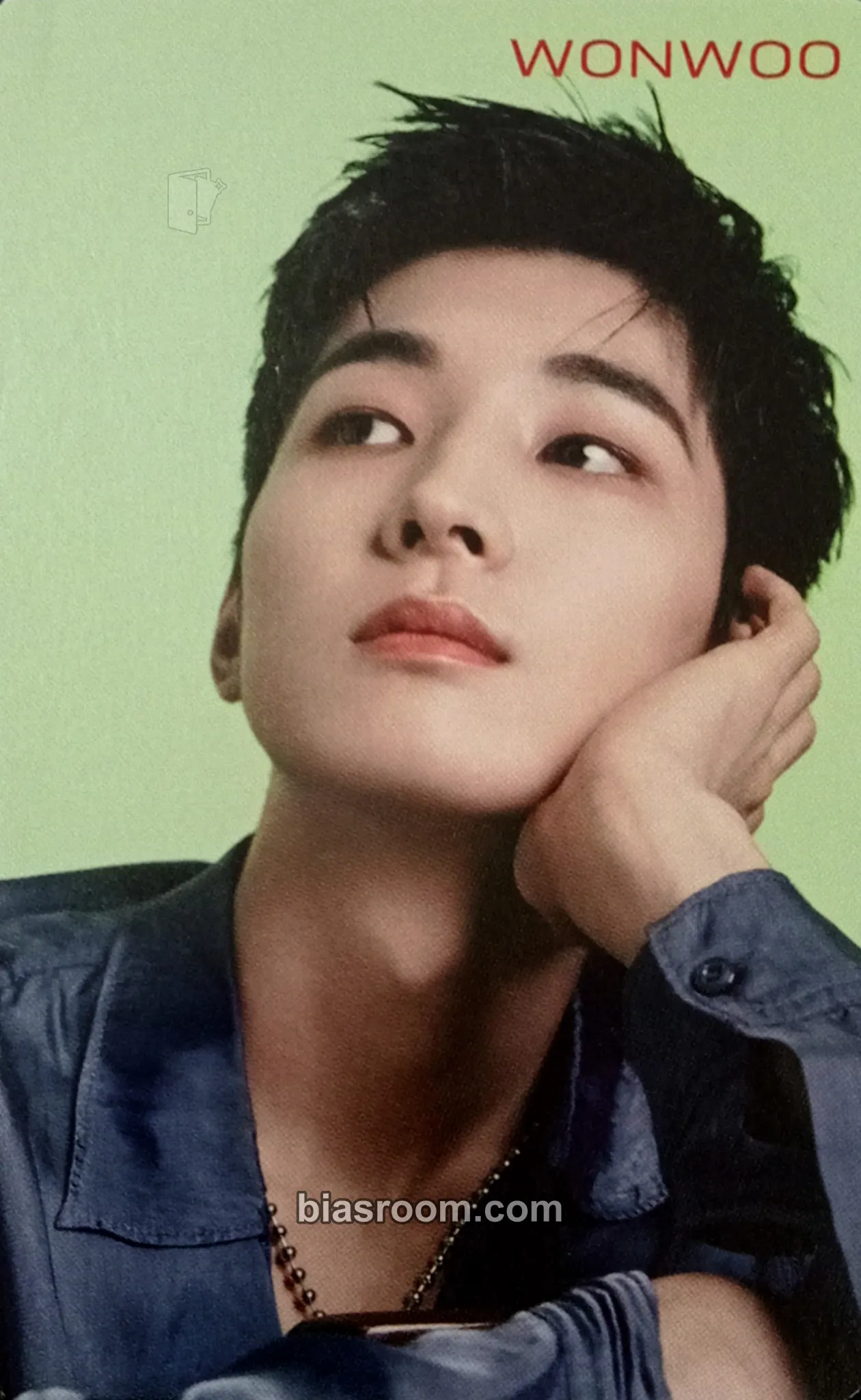 Wonwoo 24H Photocard - SEVENTEEN - SEVENTEEN K-pop photocard
