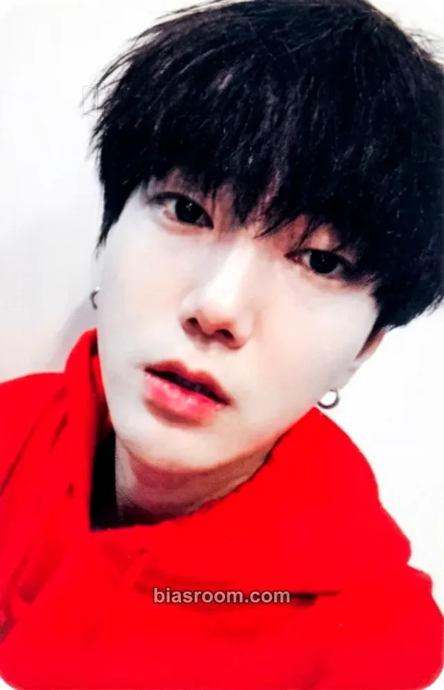 SUPER JUNIOR - Yesung - Spring Falling (Yesung Solo) Album solo album album photocard