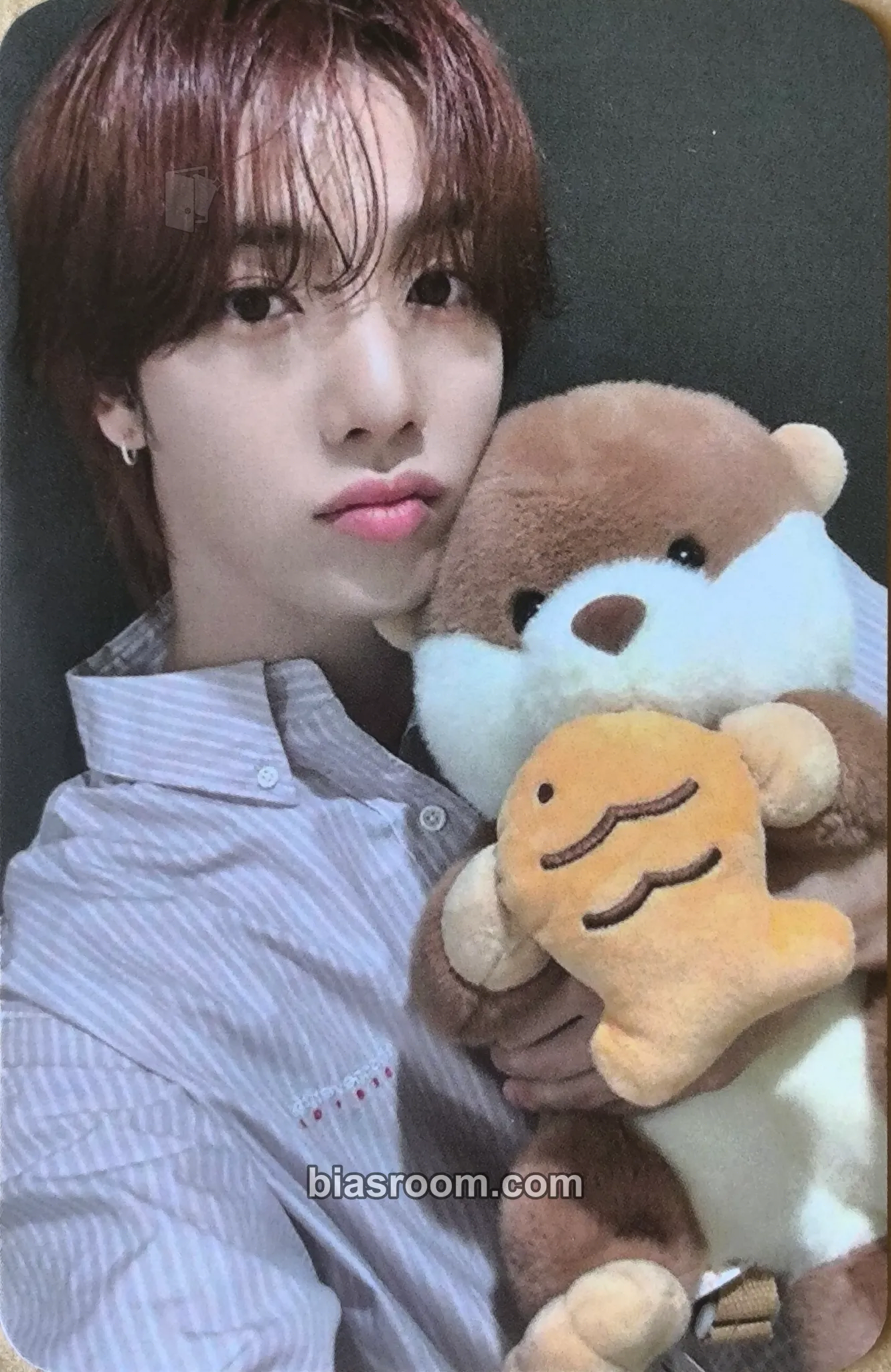 Kazuta Itty Bitty Photocard - n.SSign - n.SSign K-pop photocard