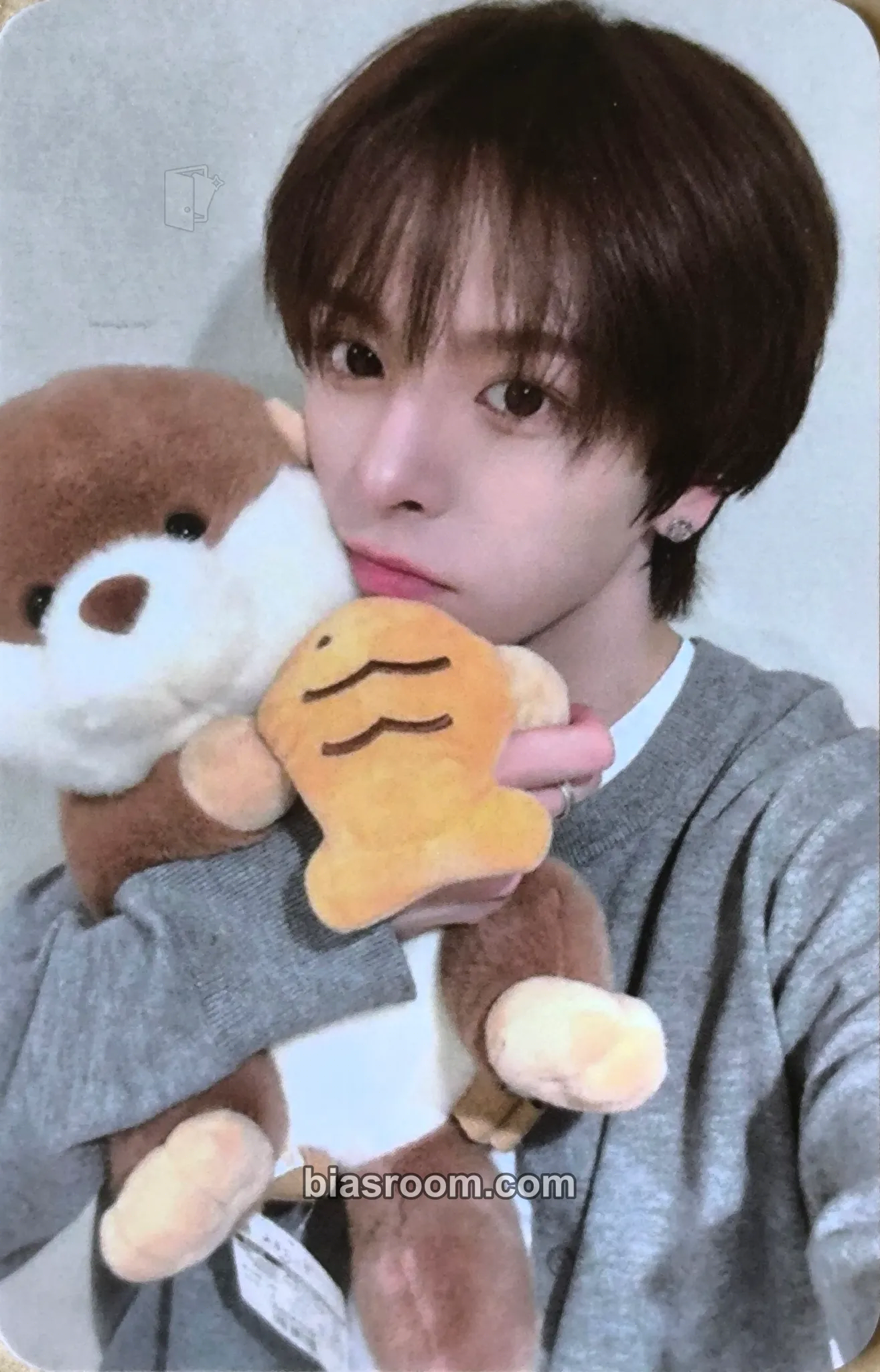 Laurence Itty Bitty Photocard - n.SSign - n.SSign K-pop photocard