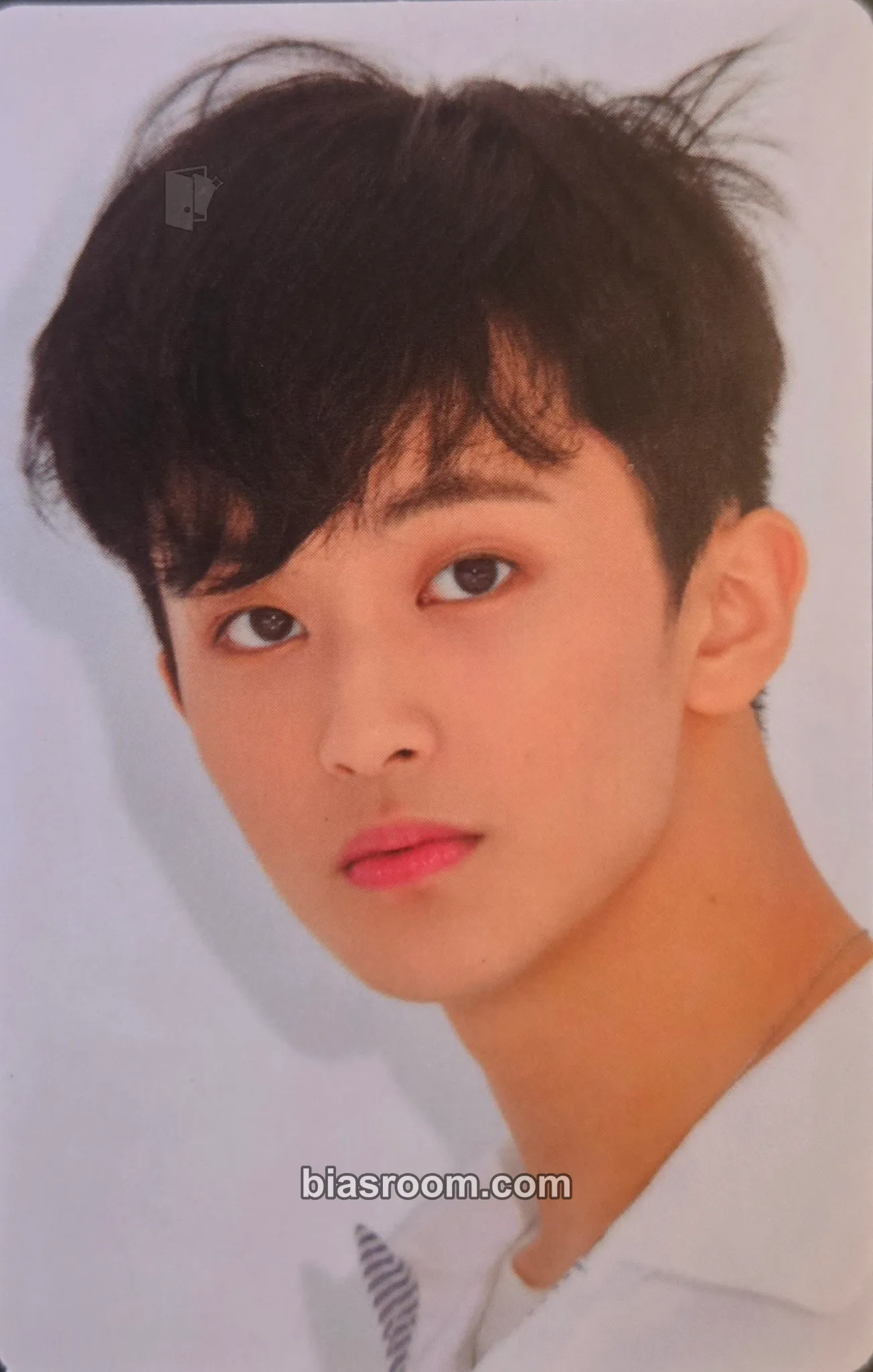 Mark We Go Up MD Photocard - NCT DREAM - NCT DREAM K-pop photocard